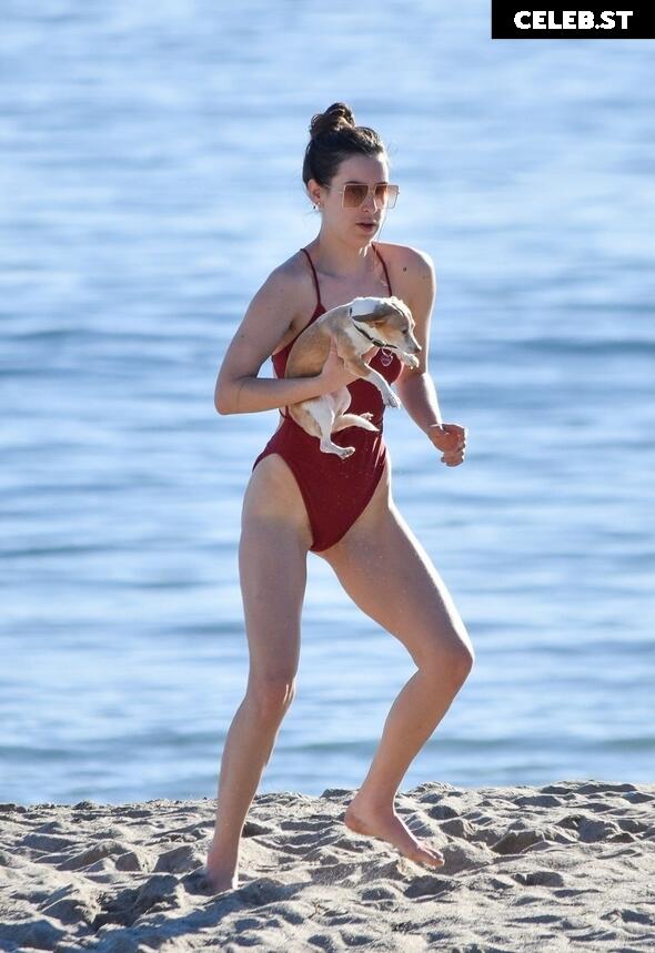 Scout Willis Image 2826794