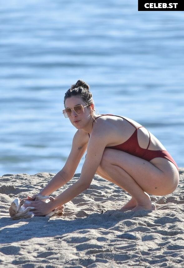 Scout Willis Image 2826774