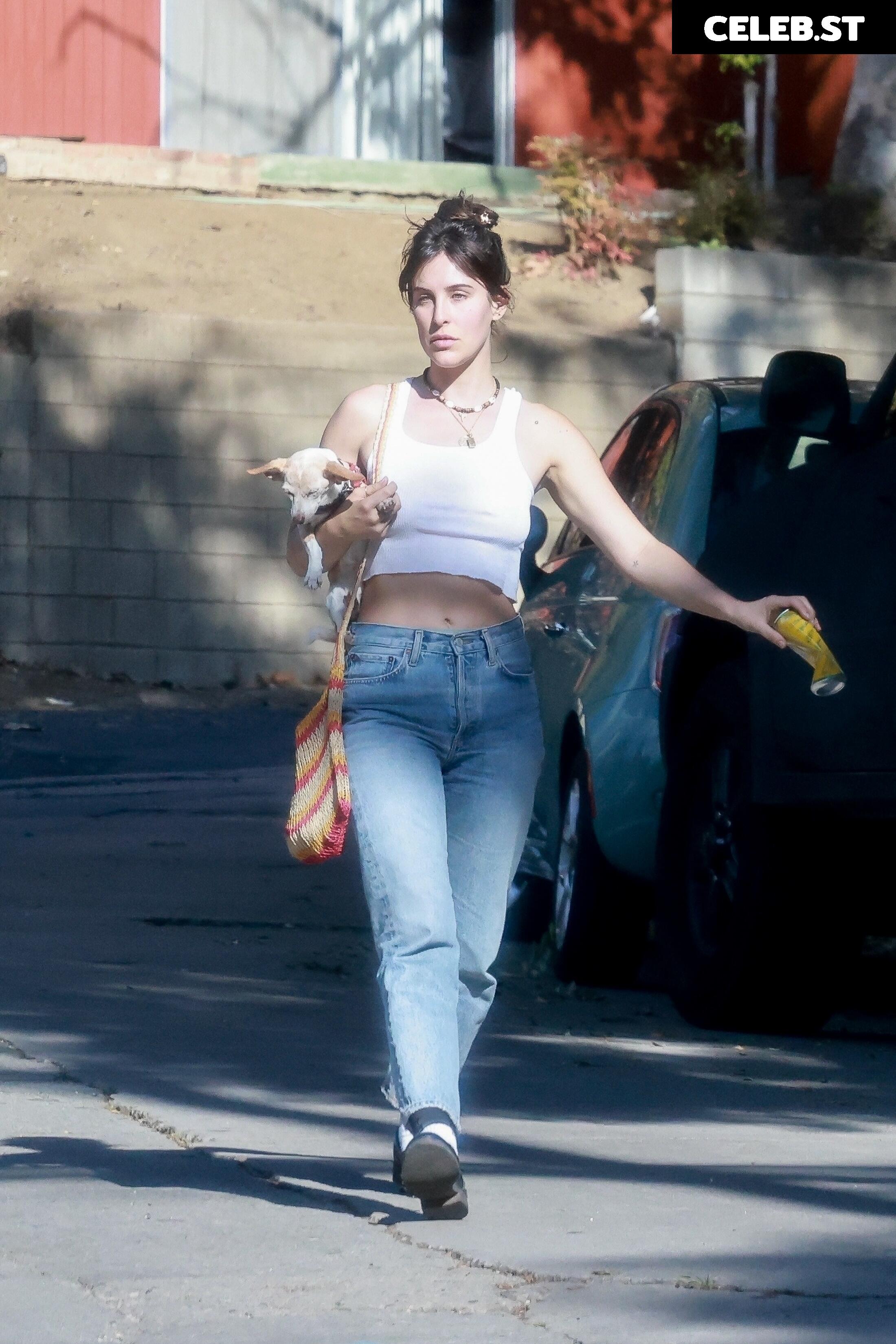 Scout Willis Image 2826086