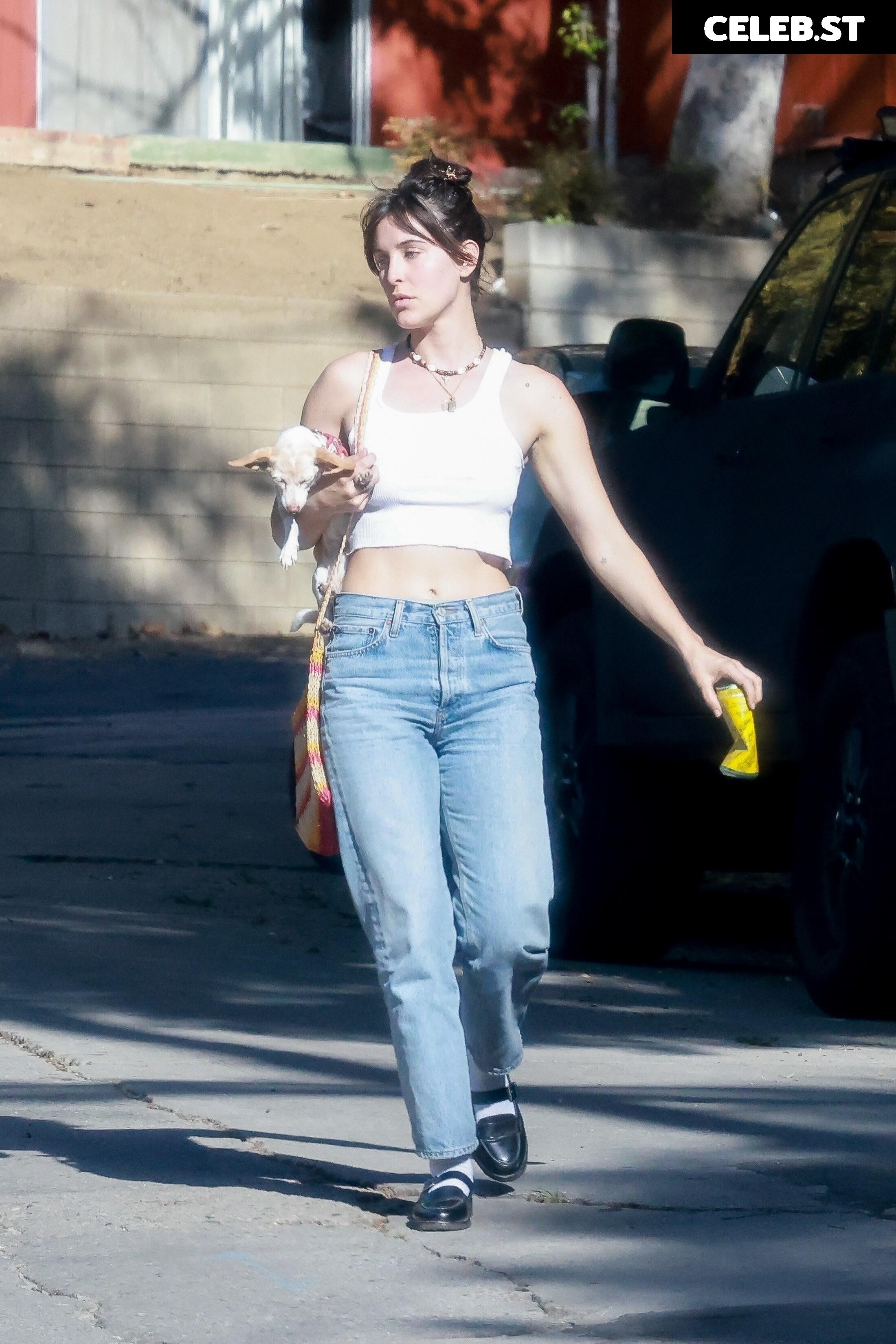 Scout Willis Image 2826218
