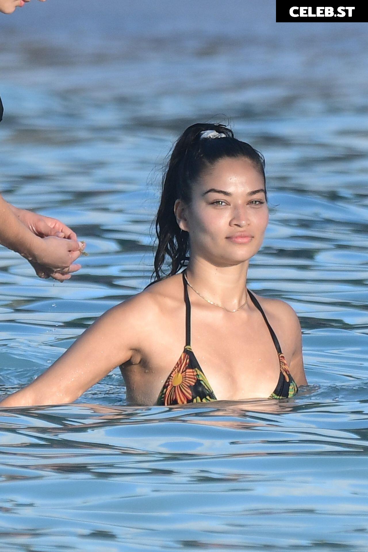 Shanina Shaik Image 2822654