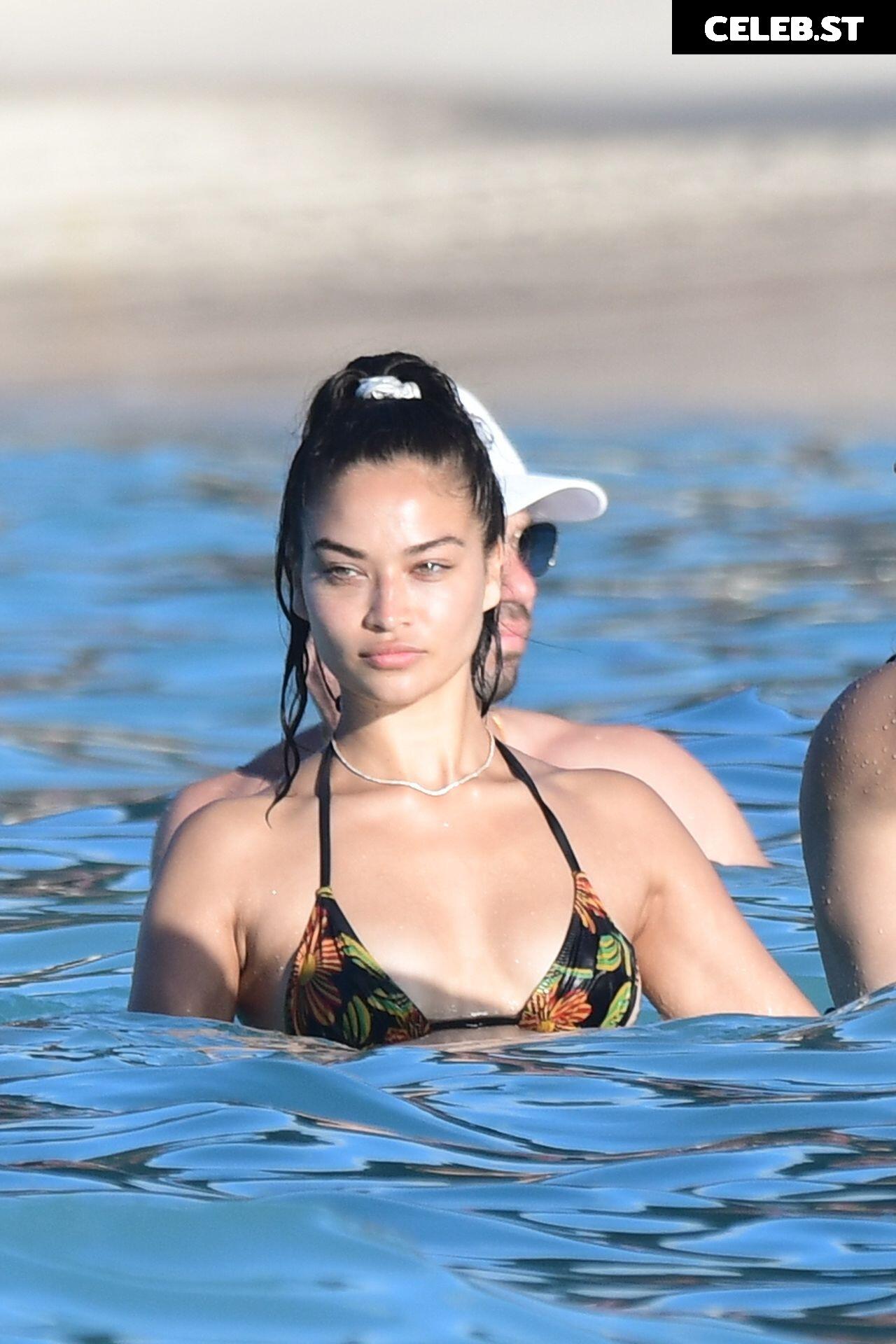 Shanina Shaik Image 2822649