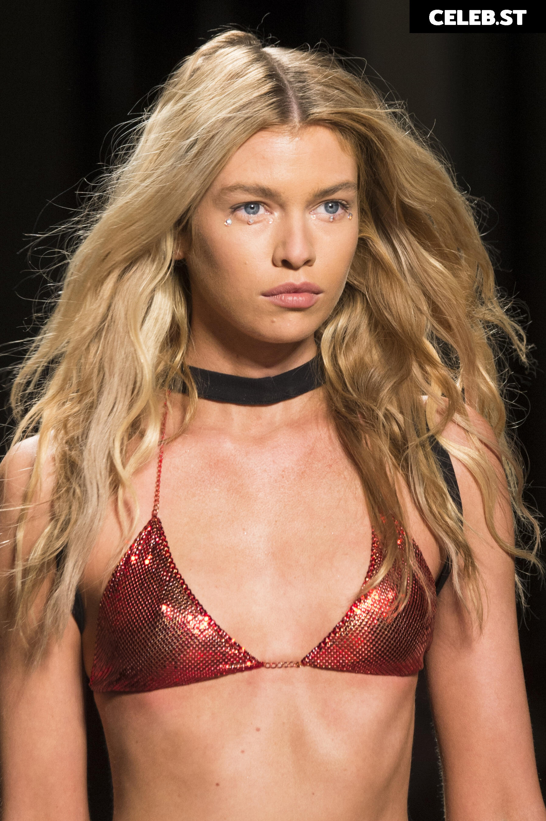Stella Maxwell Image 2815841
