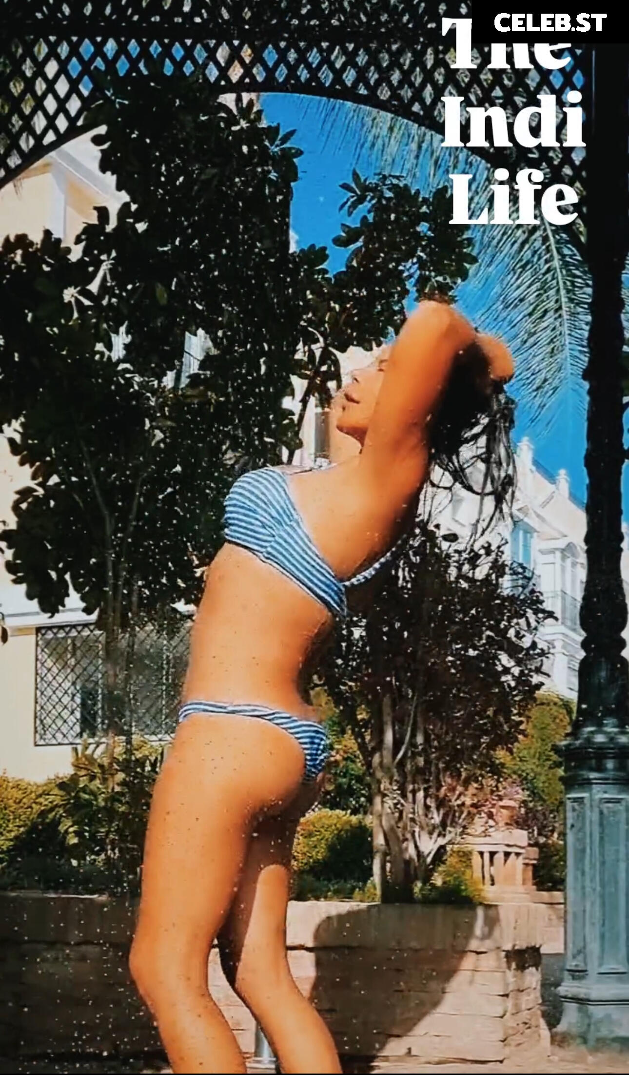 Indira Weis Image 2817015