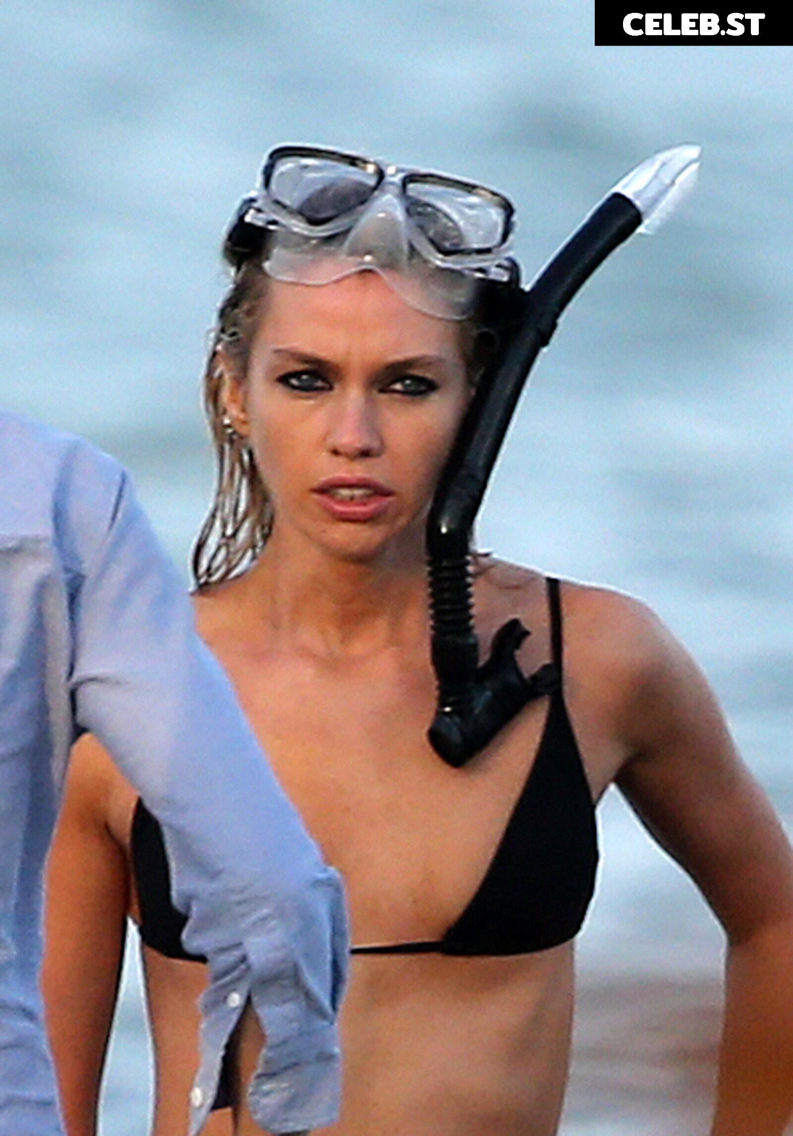 Stella Maxwell Image 2814266