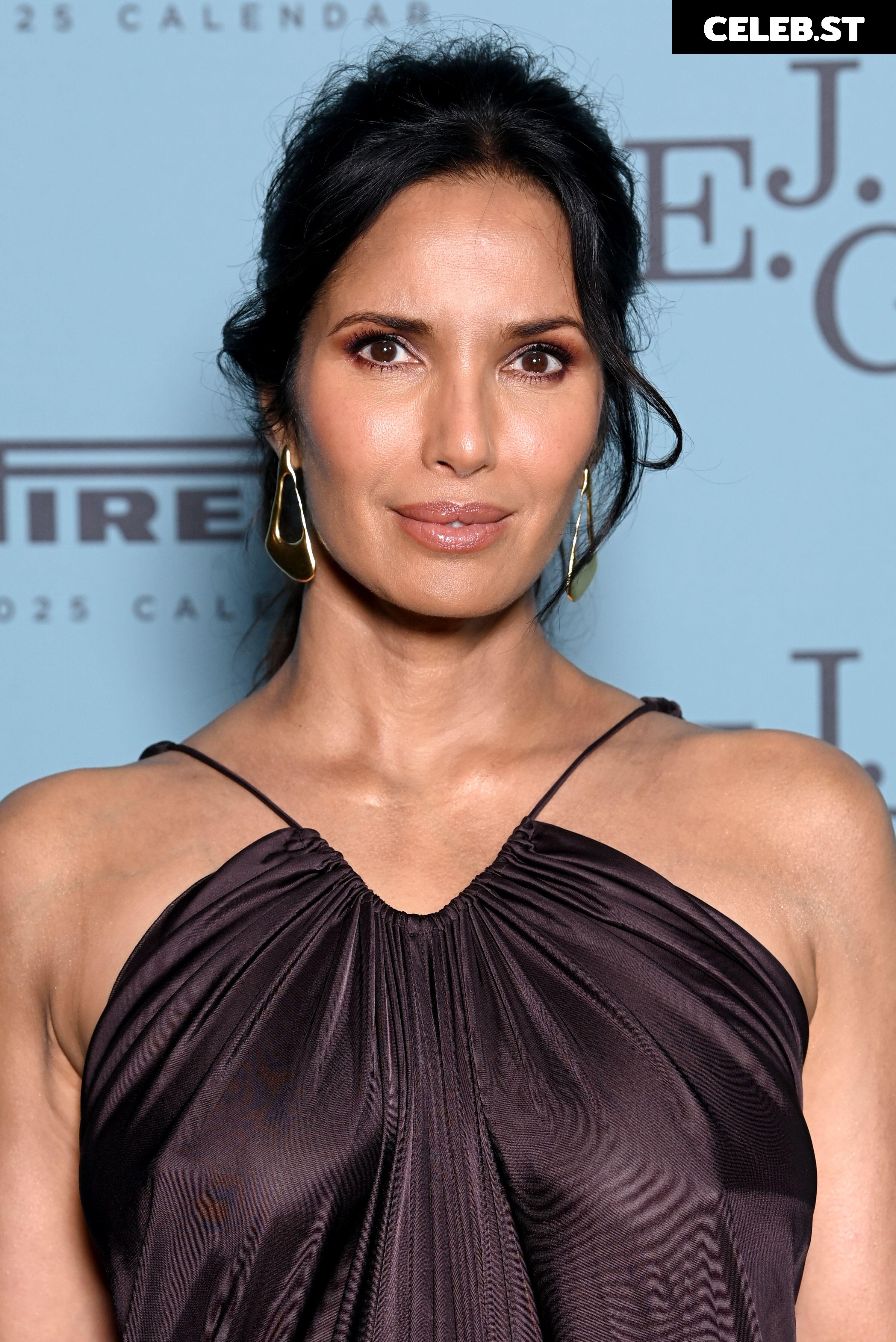 Padma Lakshmi Image 2811642