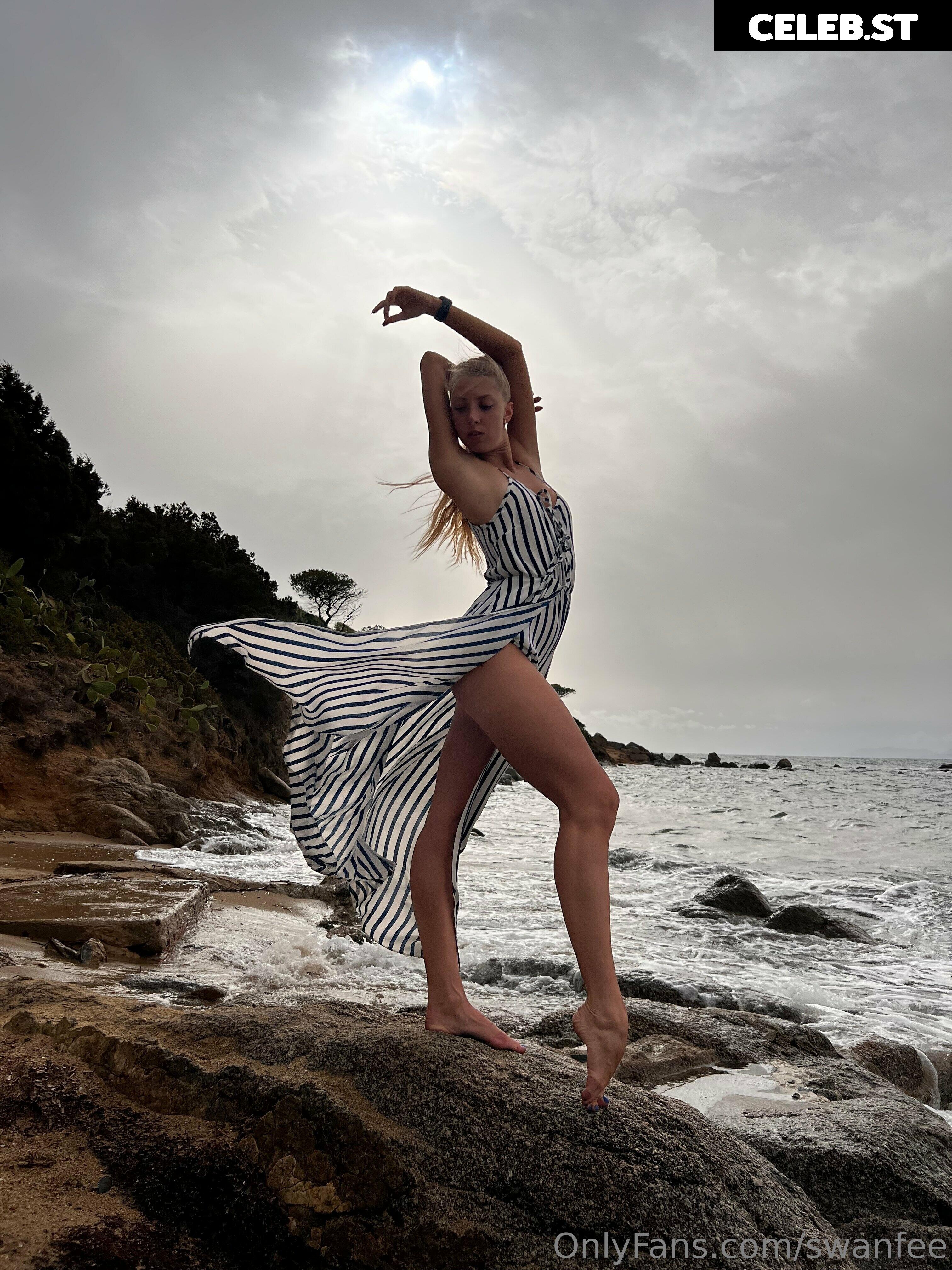 Swanfeet Image 280738