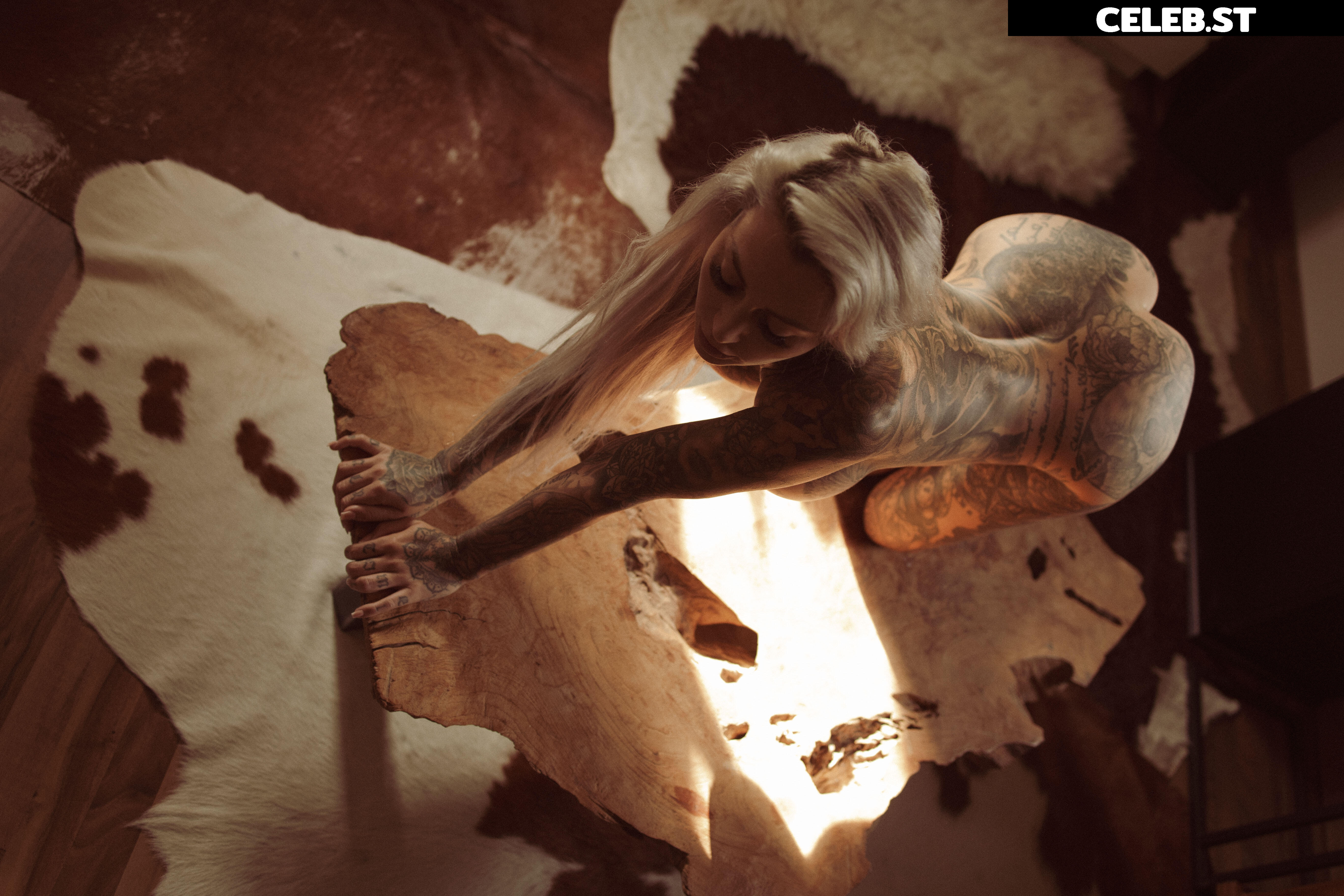 Inked Dani Image 2801536