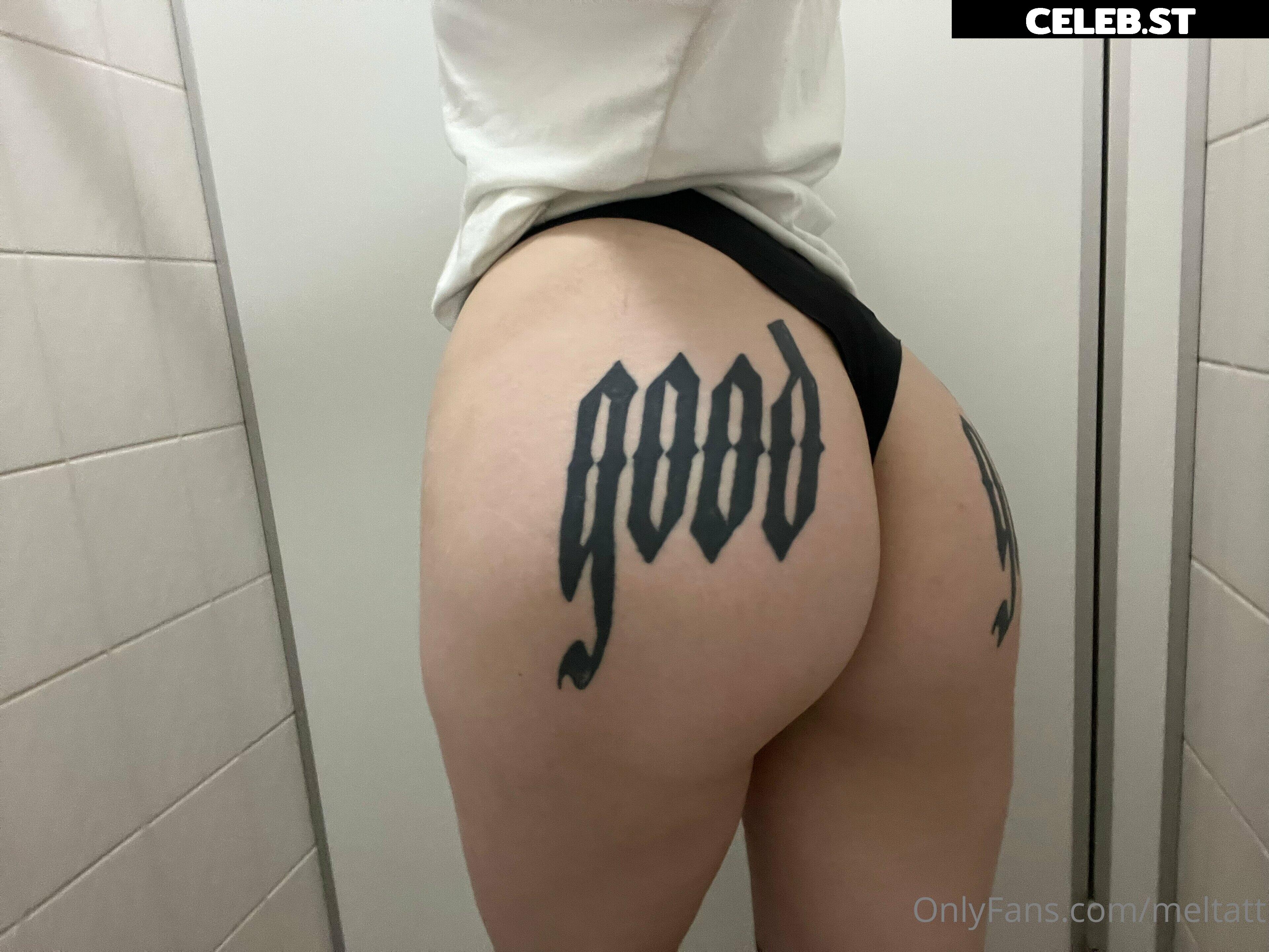 meltattx Image 280228