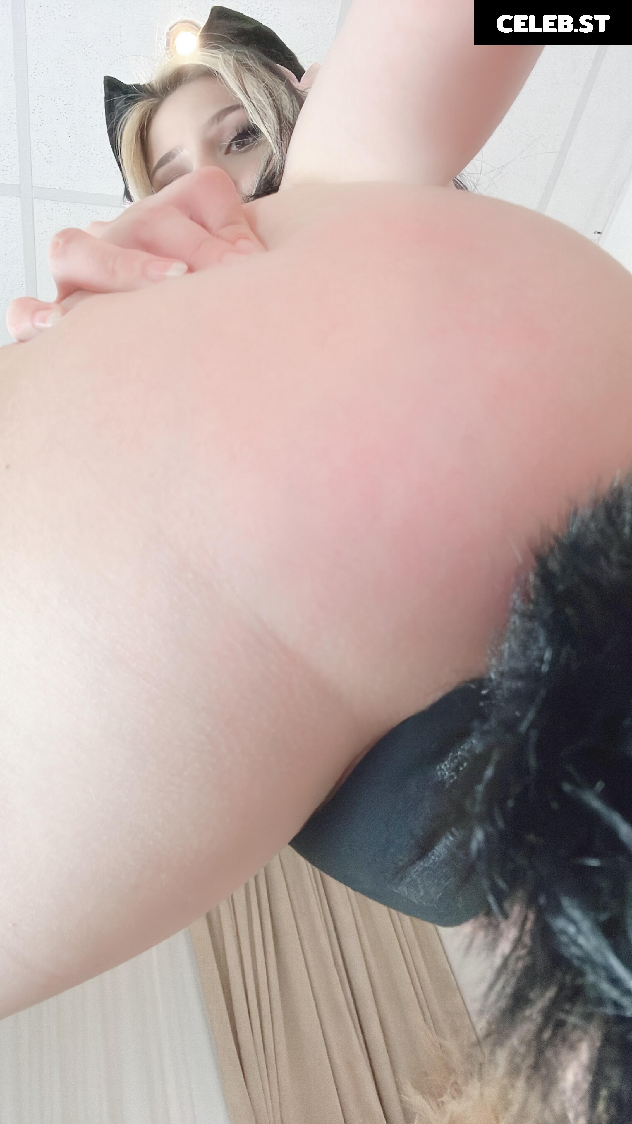 Liinowitsch Image 2800064