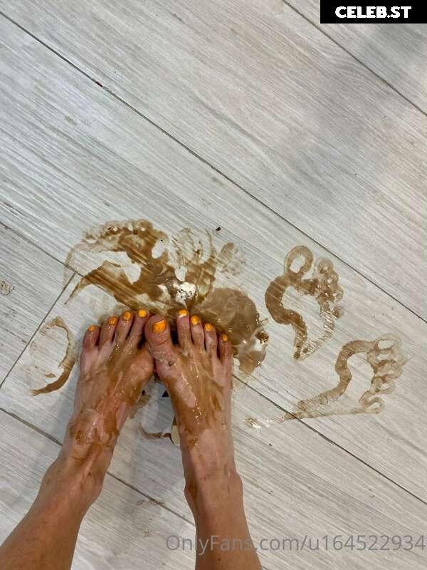 Swanfeet Image 280890