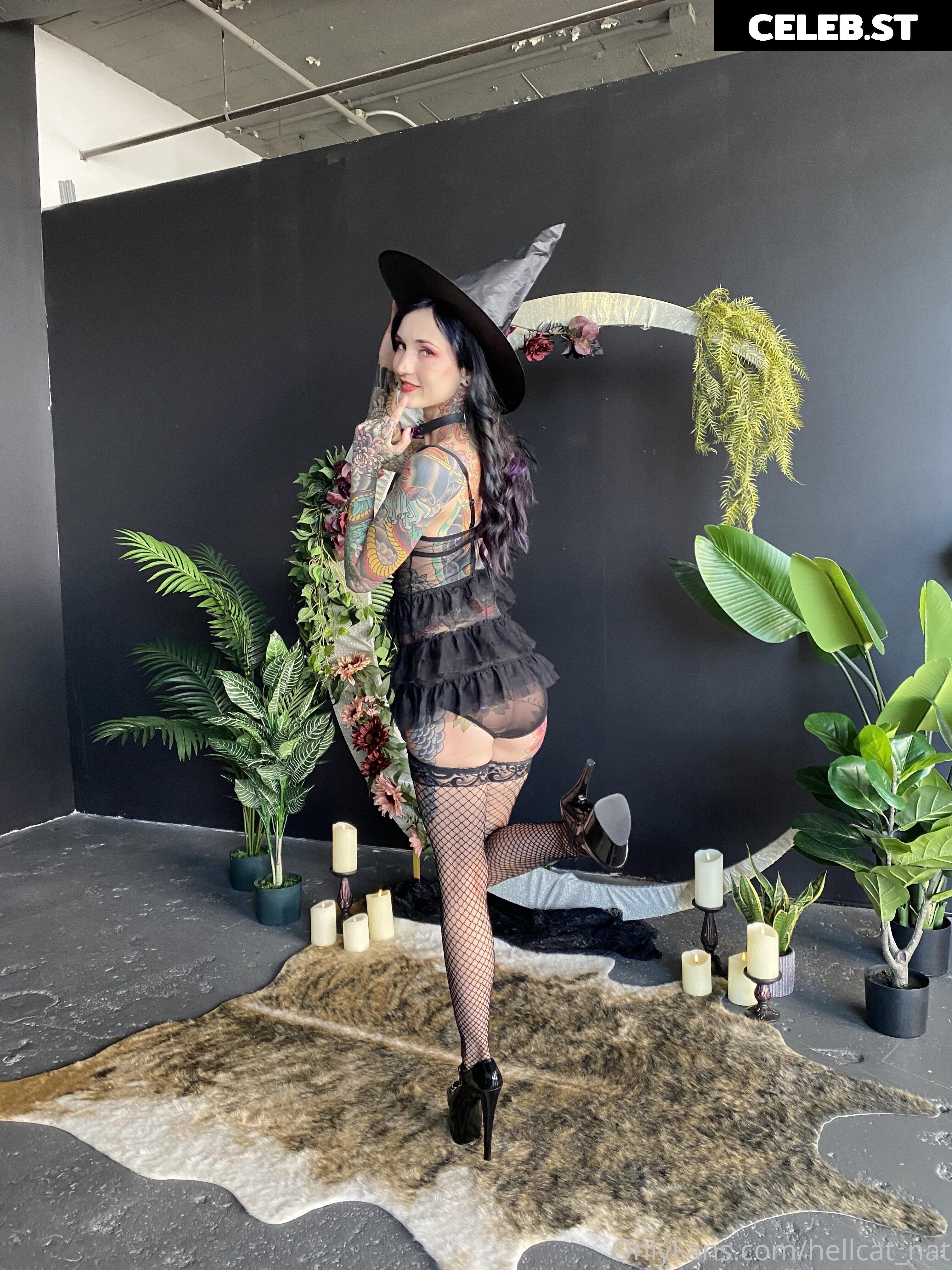 Hellcat_nat Image 2982157