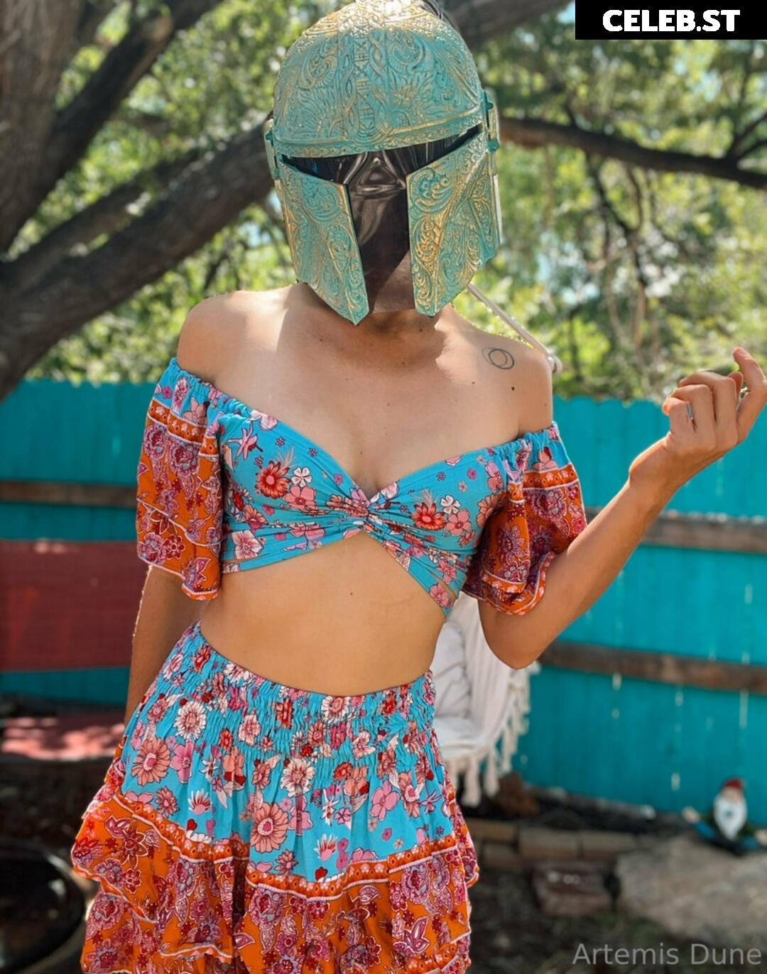 ArtemisDune Image 295455