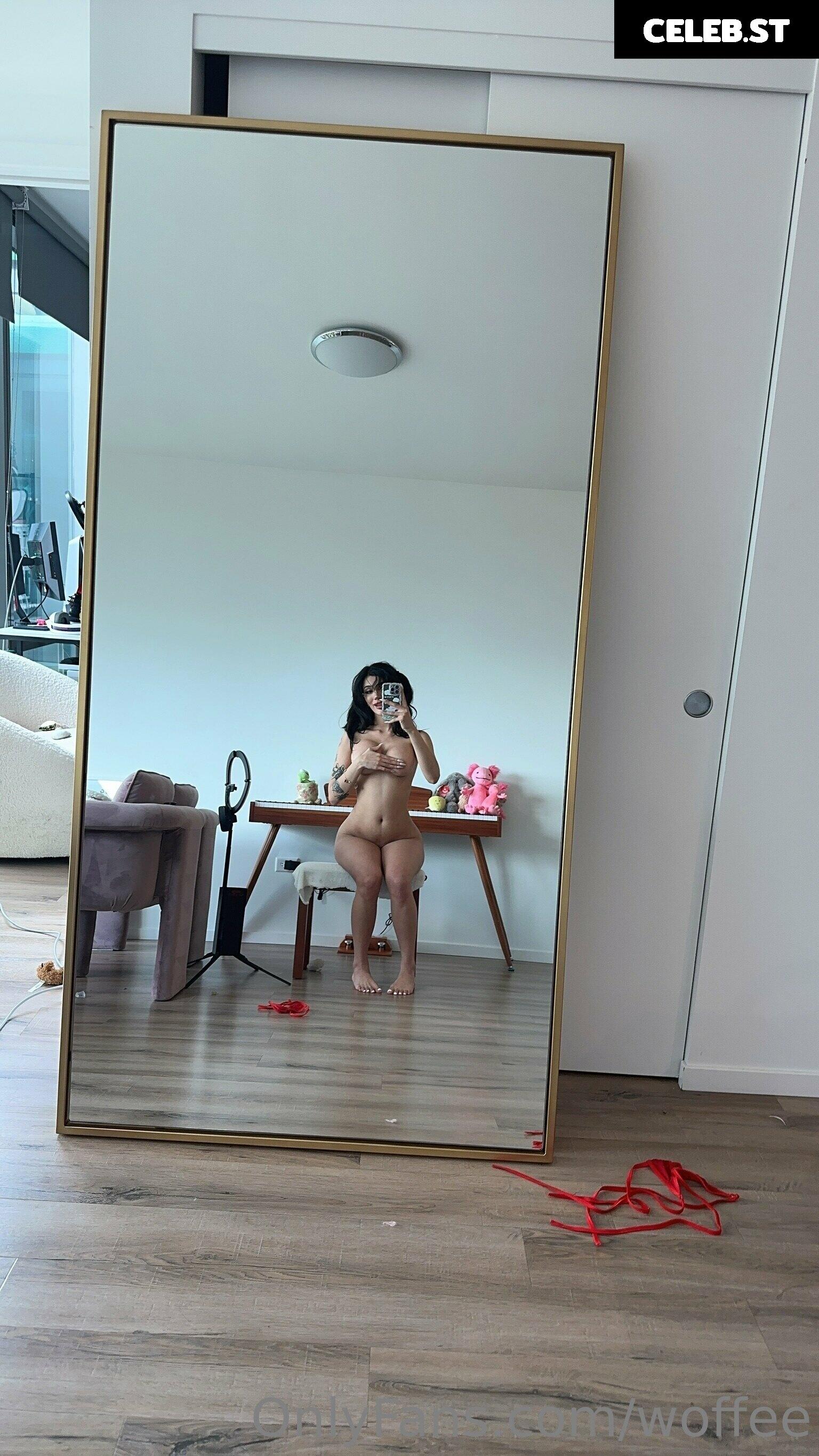 Woffee Image 2920642