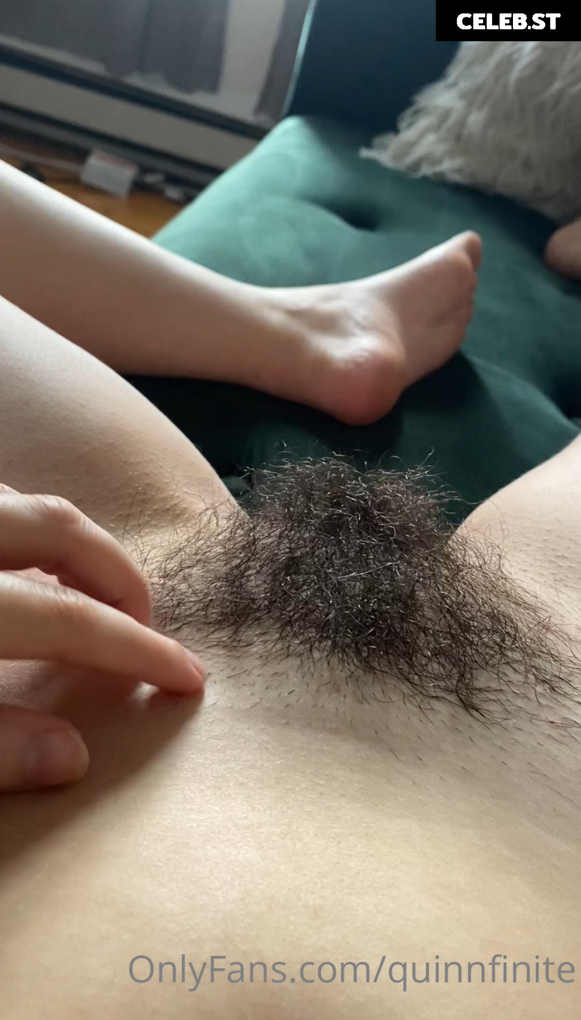 Quinn Finite Image 2495819