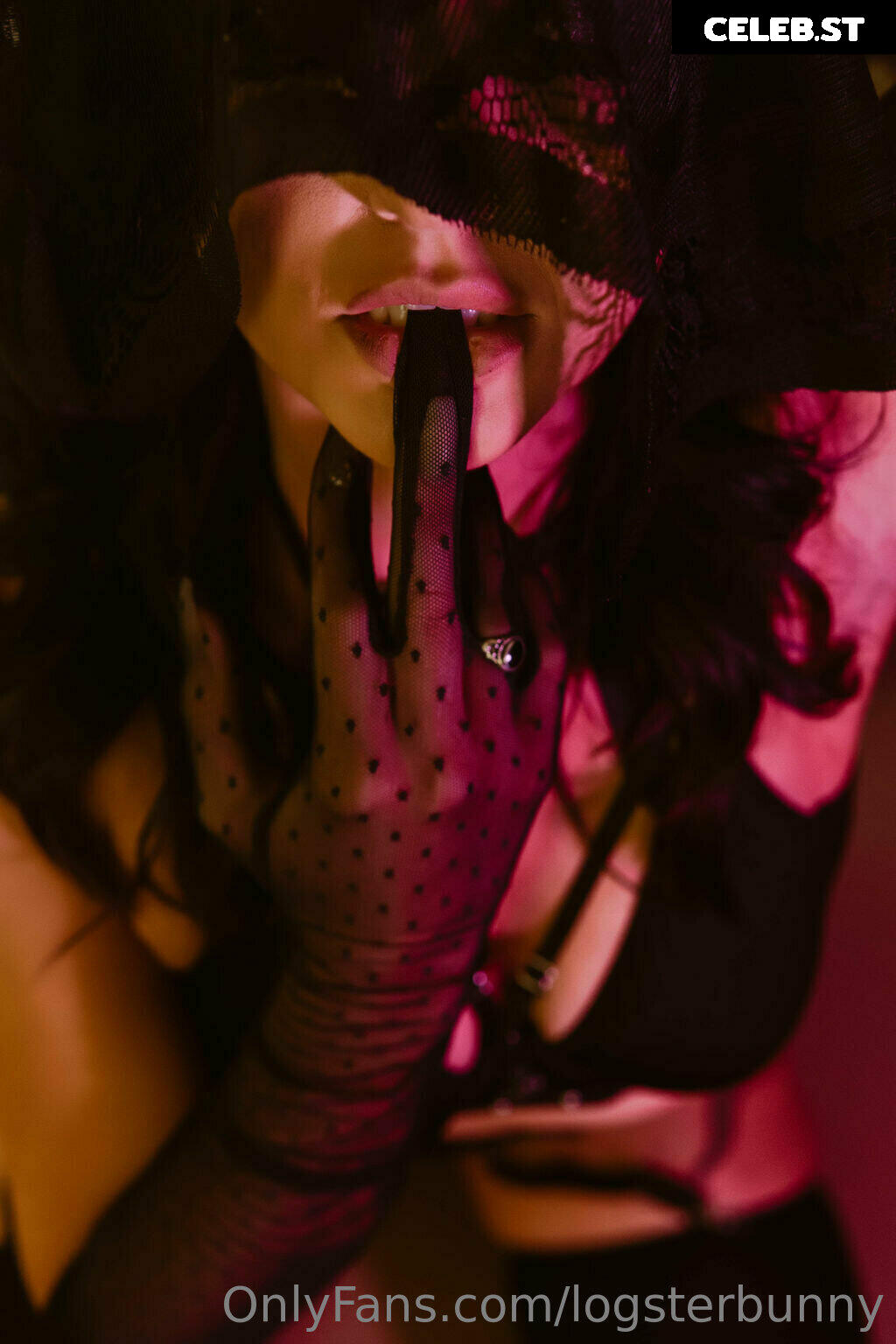 Logsterbunny Image 2495811