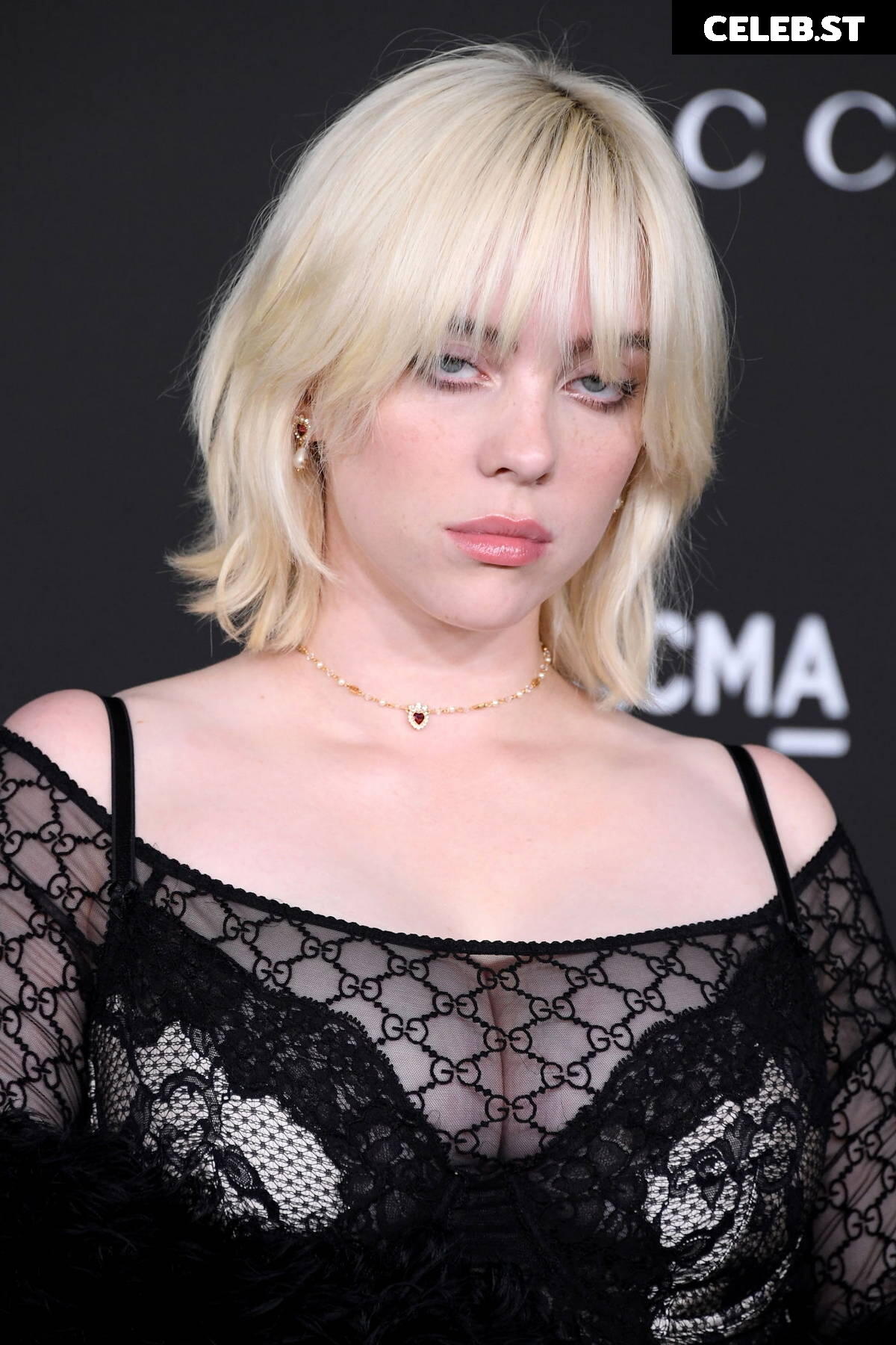 Billie Eilish Image 24950596