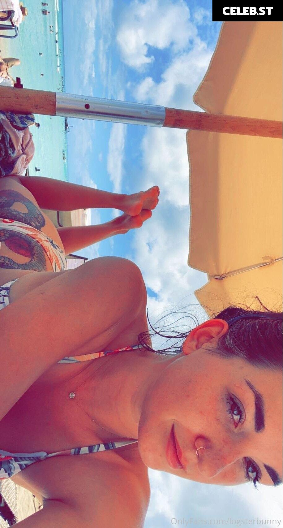 Logsterbunny Image 2496792