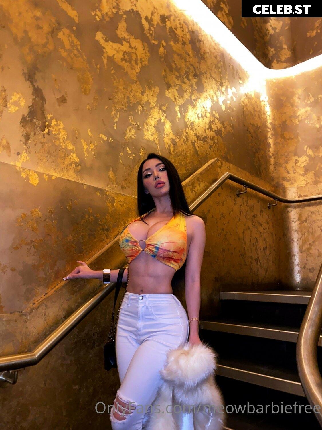 Meowbarbie Image 2497777