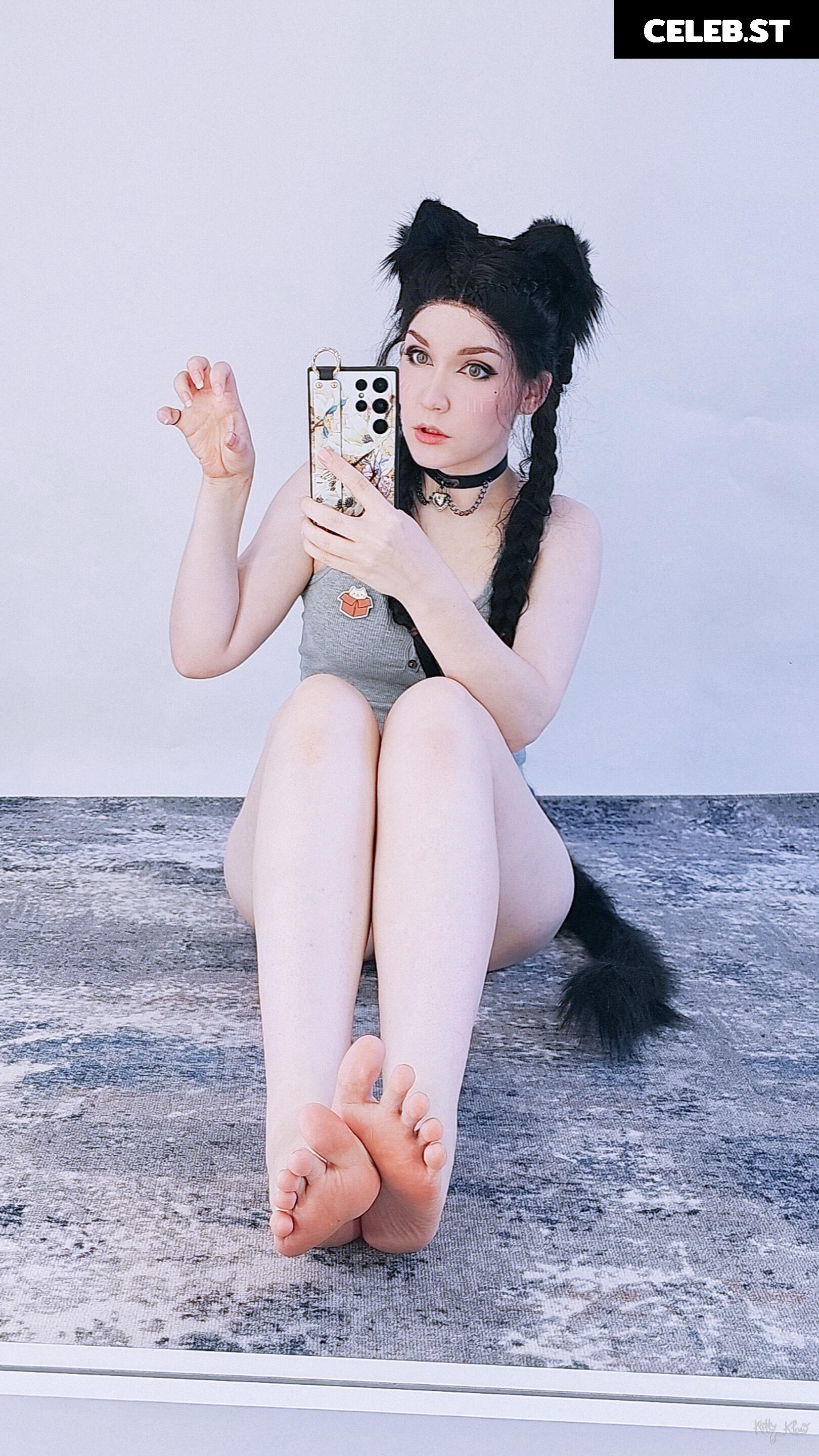Kittyklaw Image 2493470