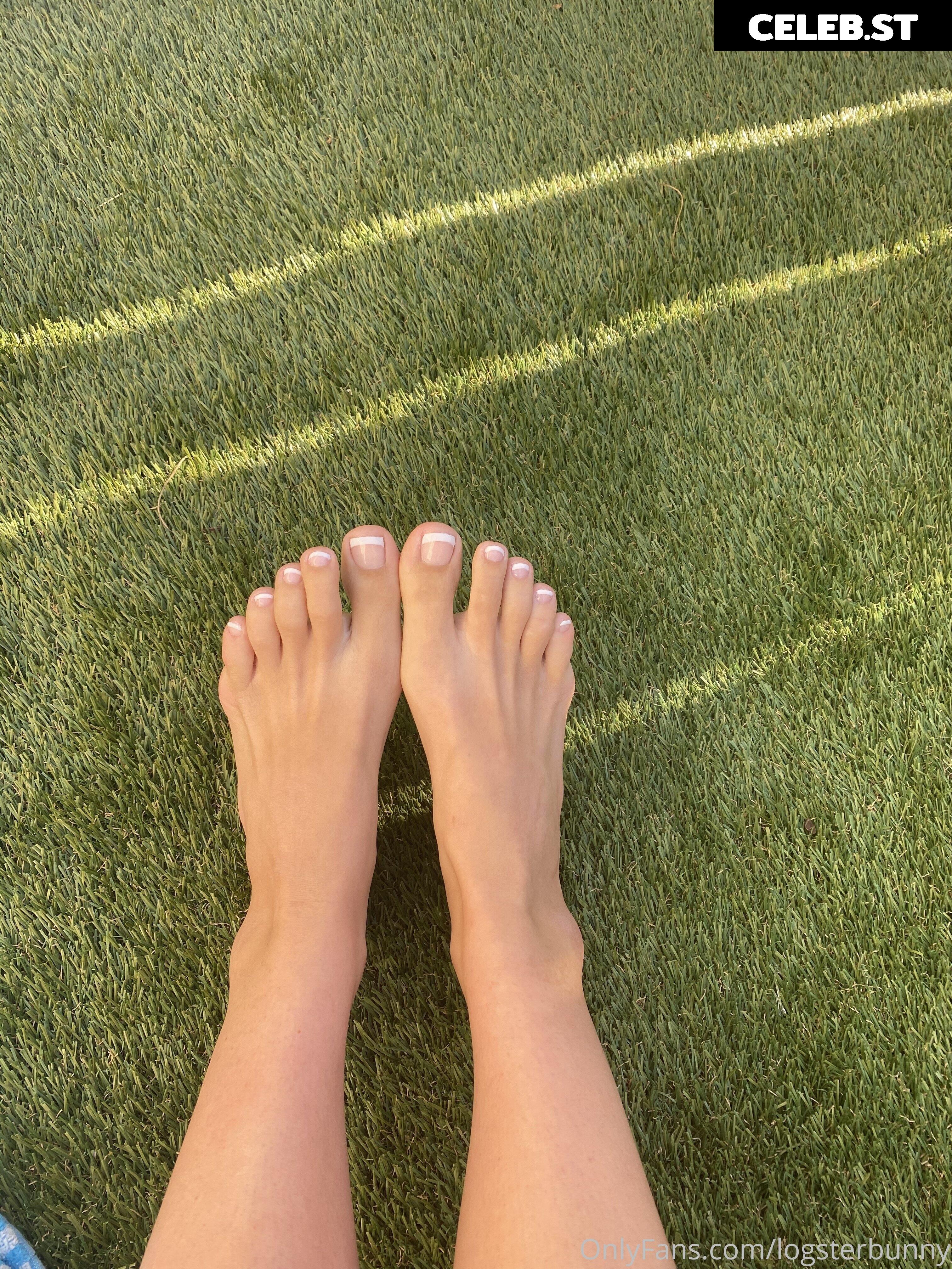 Logsterbunny Image 2499160