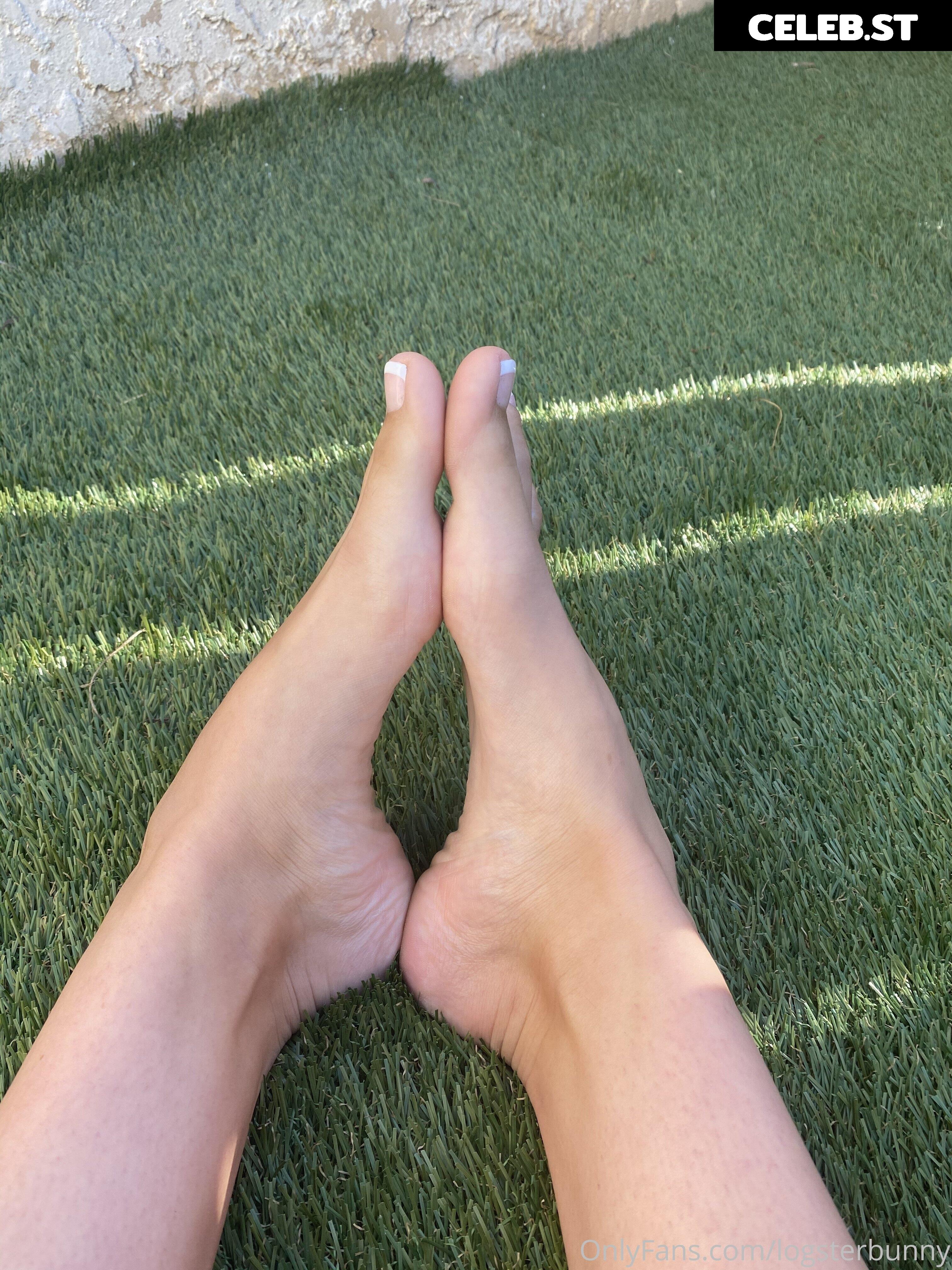 Logsterbunny Image 2499097