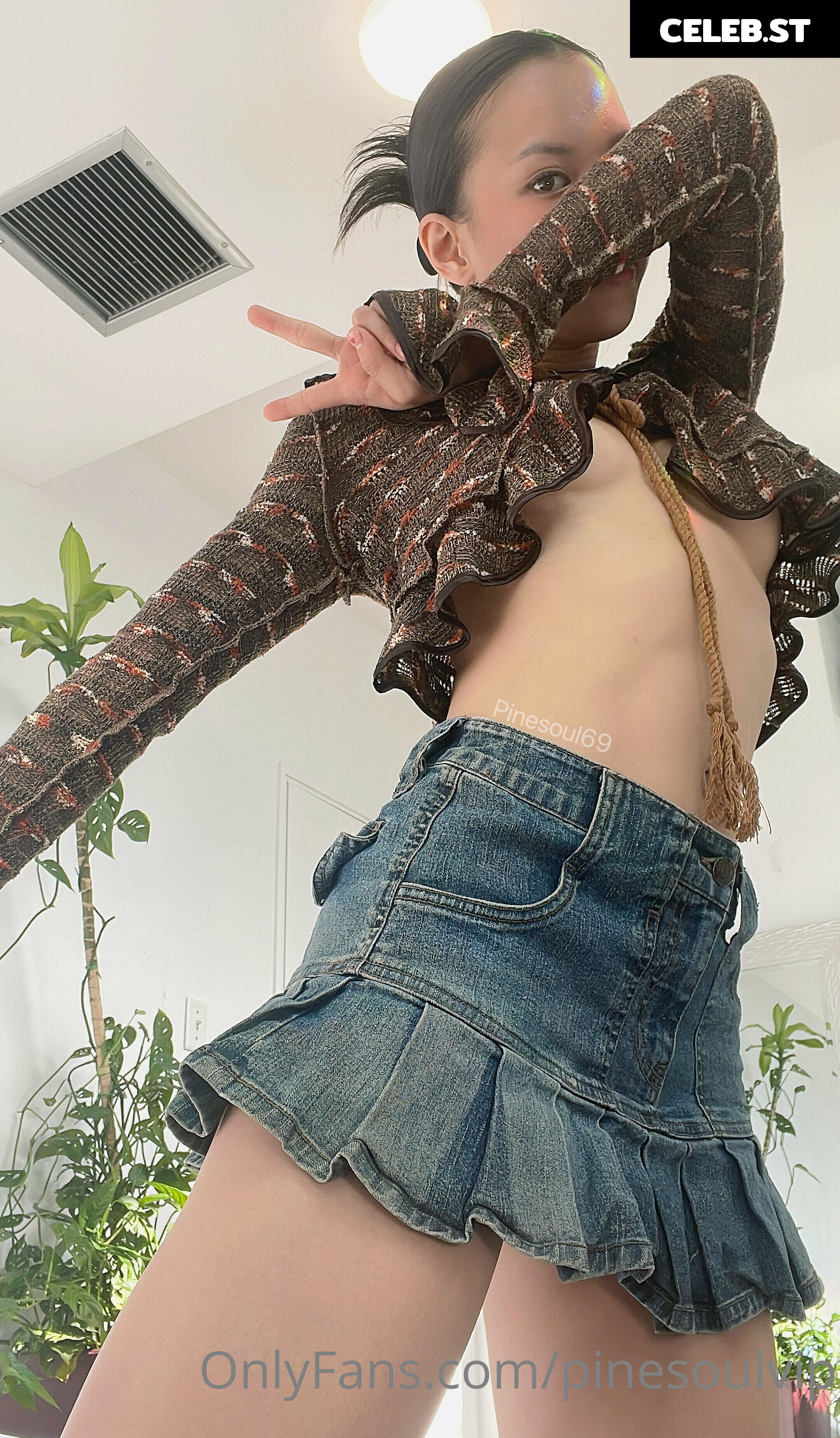 Pinesoul Asian Anal  / pinesoulvip Image 24803823