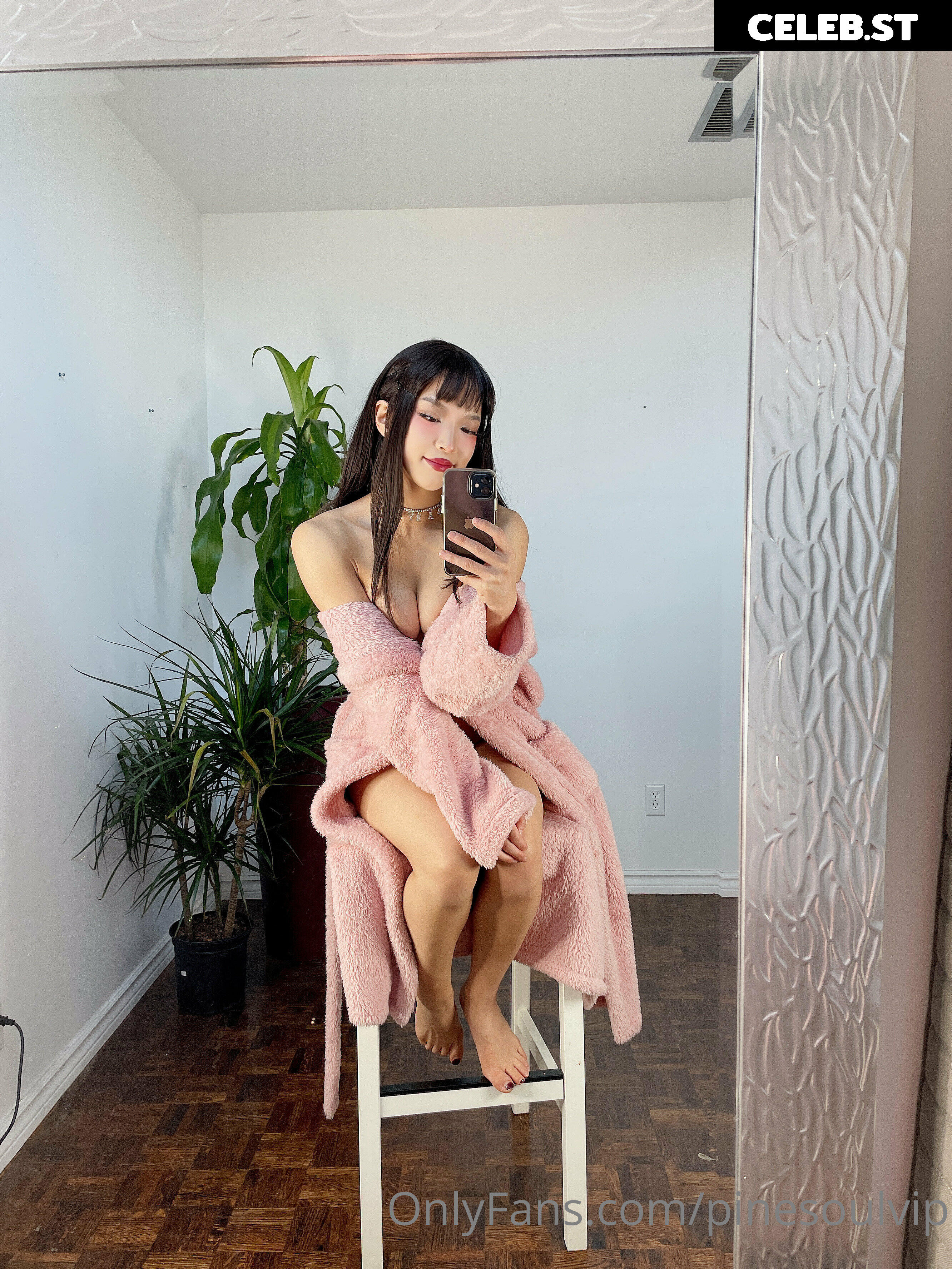 Pinesoul Asian Anal  / pinesoulvip Image 24803566
