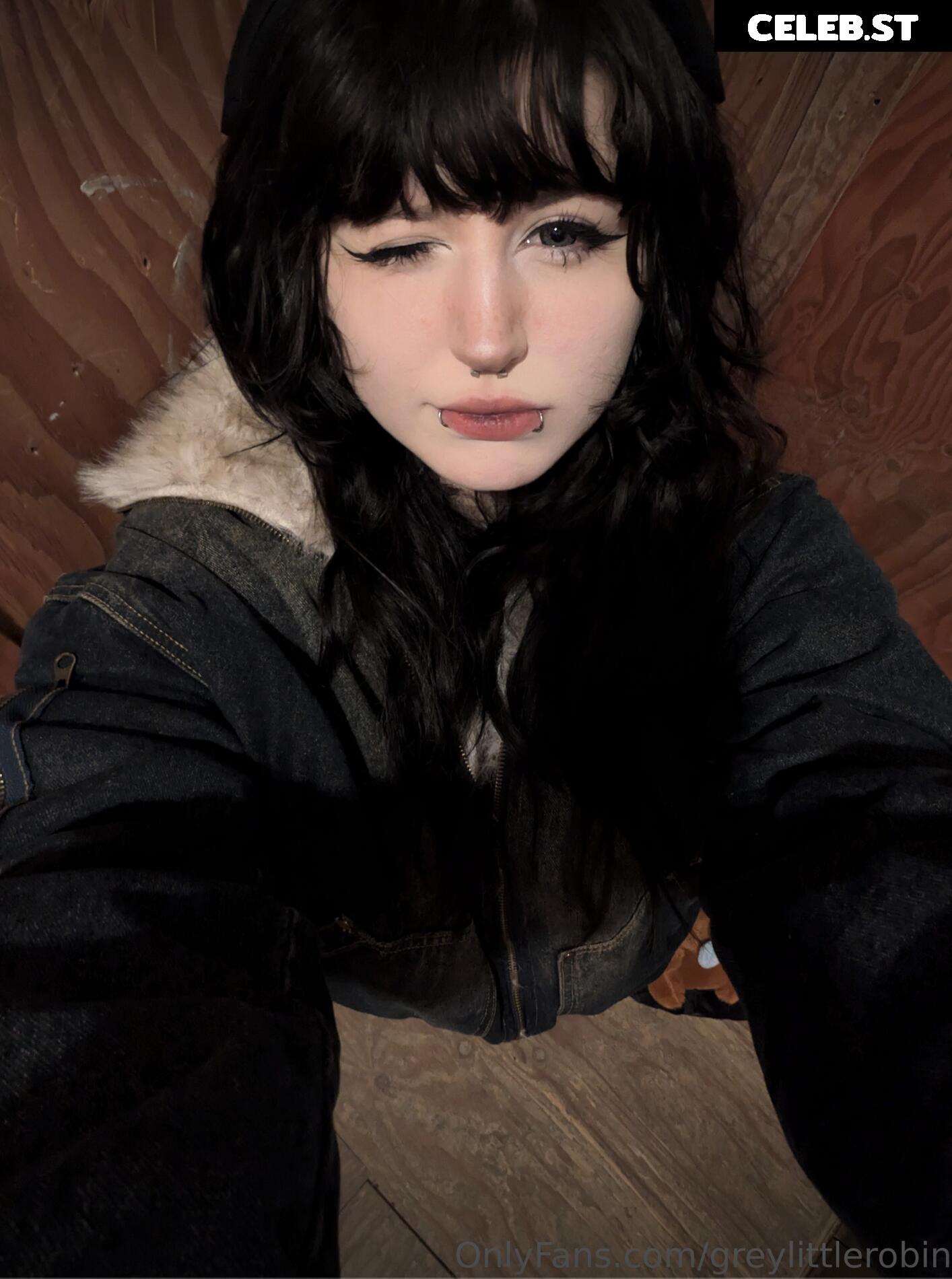 mylittlerobin | Robin Grey Image 24895659