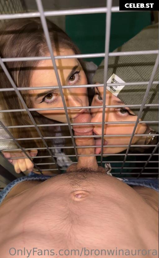 Quinn Finite Image 2489633