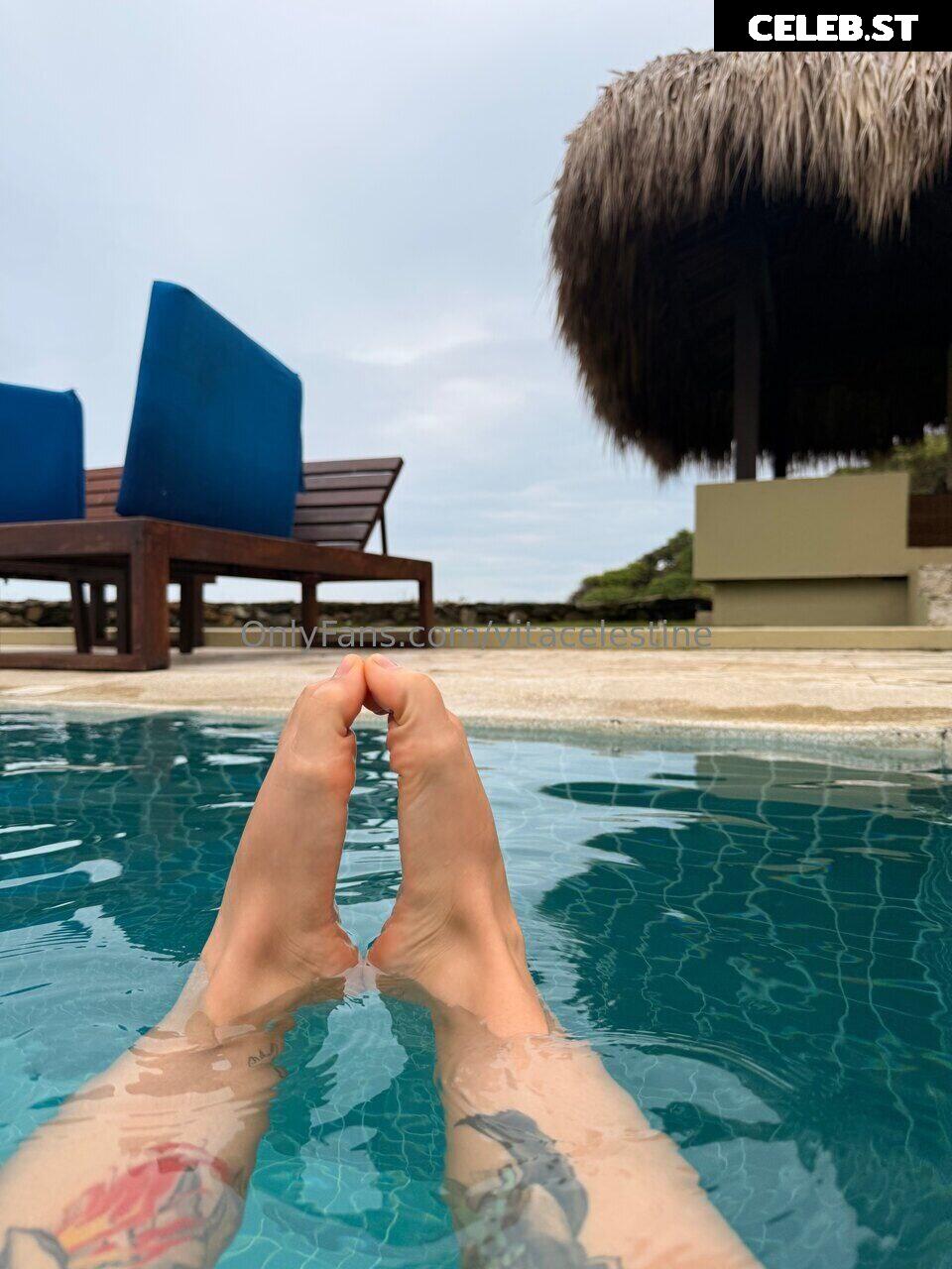 Vitacelestine Image 24752923