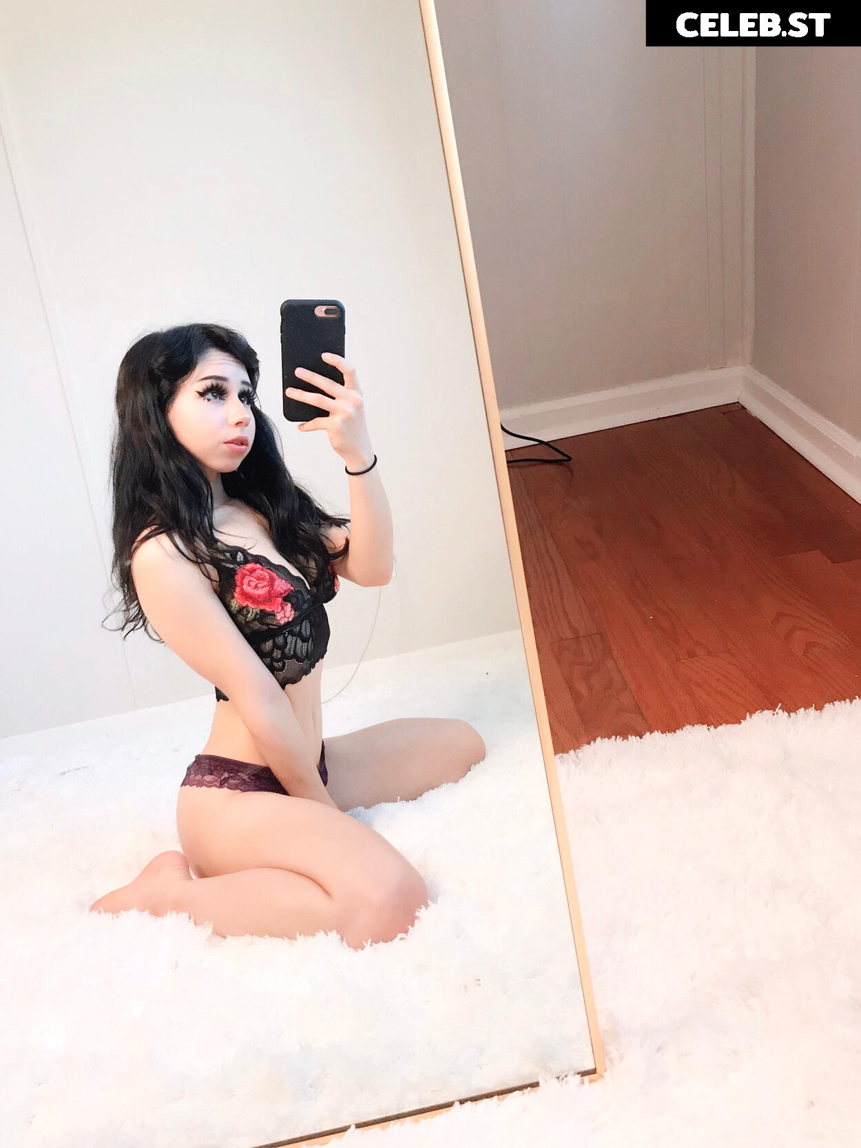 Kiwisunset Image 2476147