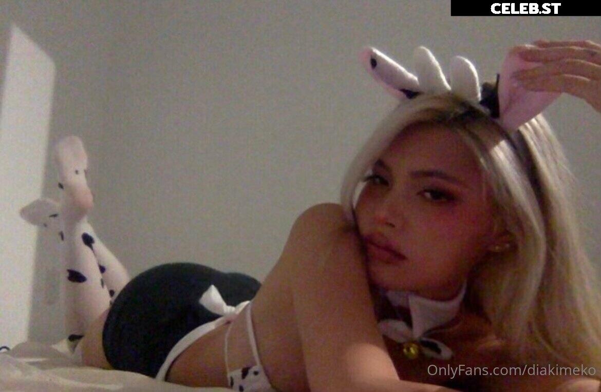 Diakimeko Image 2474118