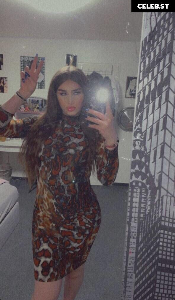 Aleynashishkova / Aleynakaan / Aleynaskova168 / BLVCKDOPE16 : German Trans Stuttgart Image 24727801