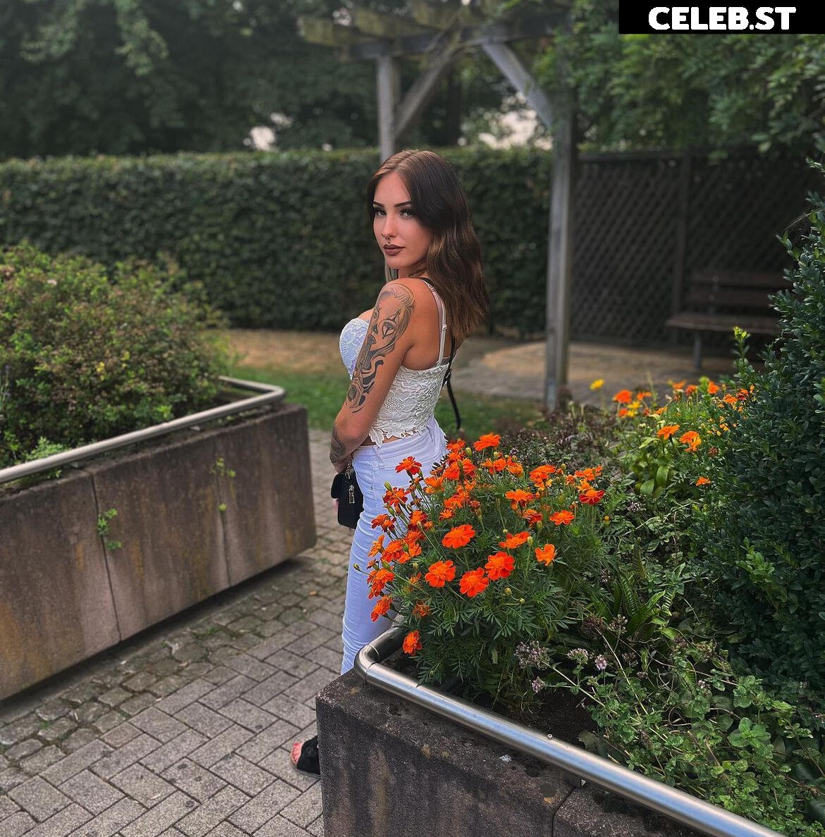 Alinabhm Image 2473311