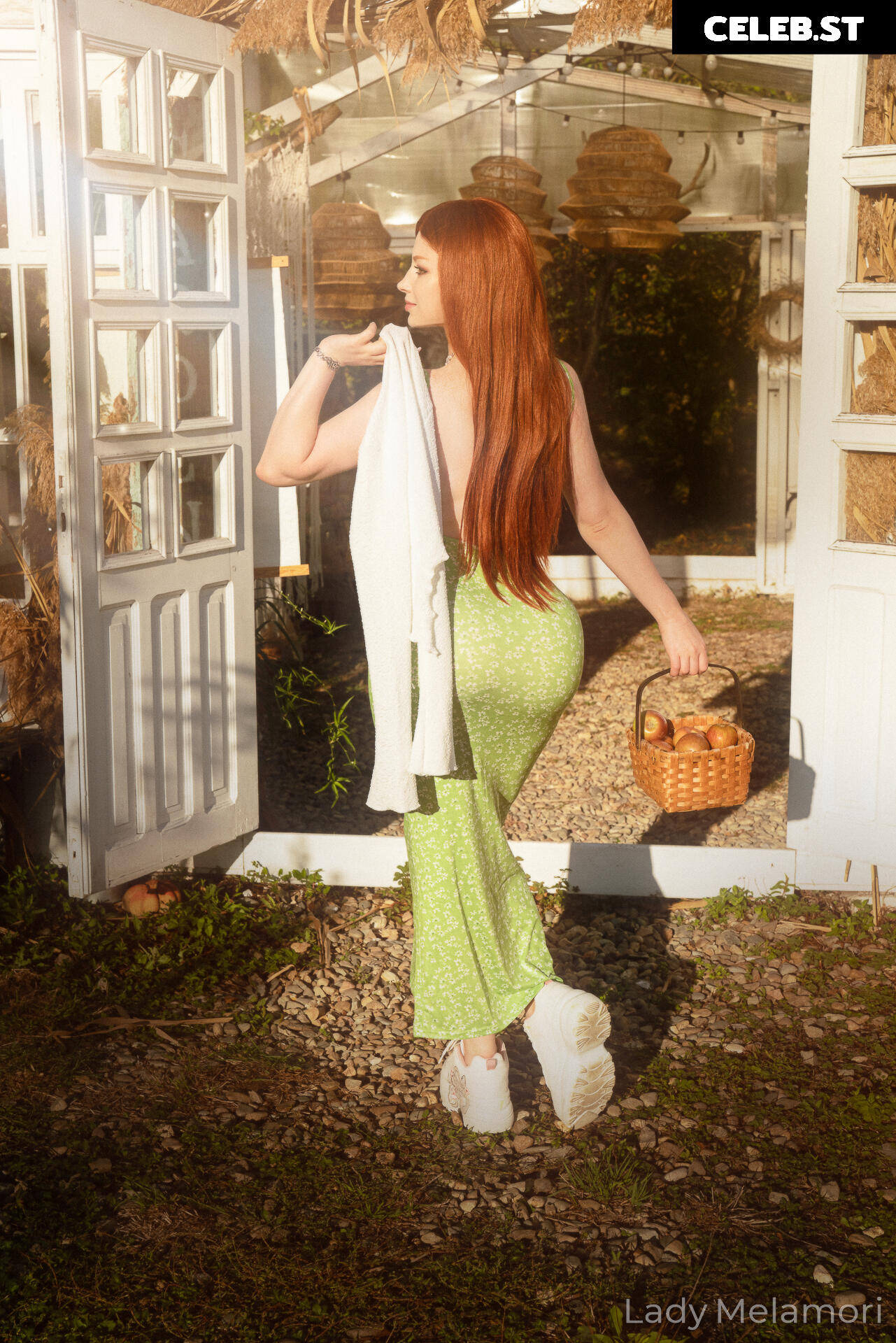 Lady Melamori Image 24666045