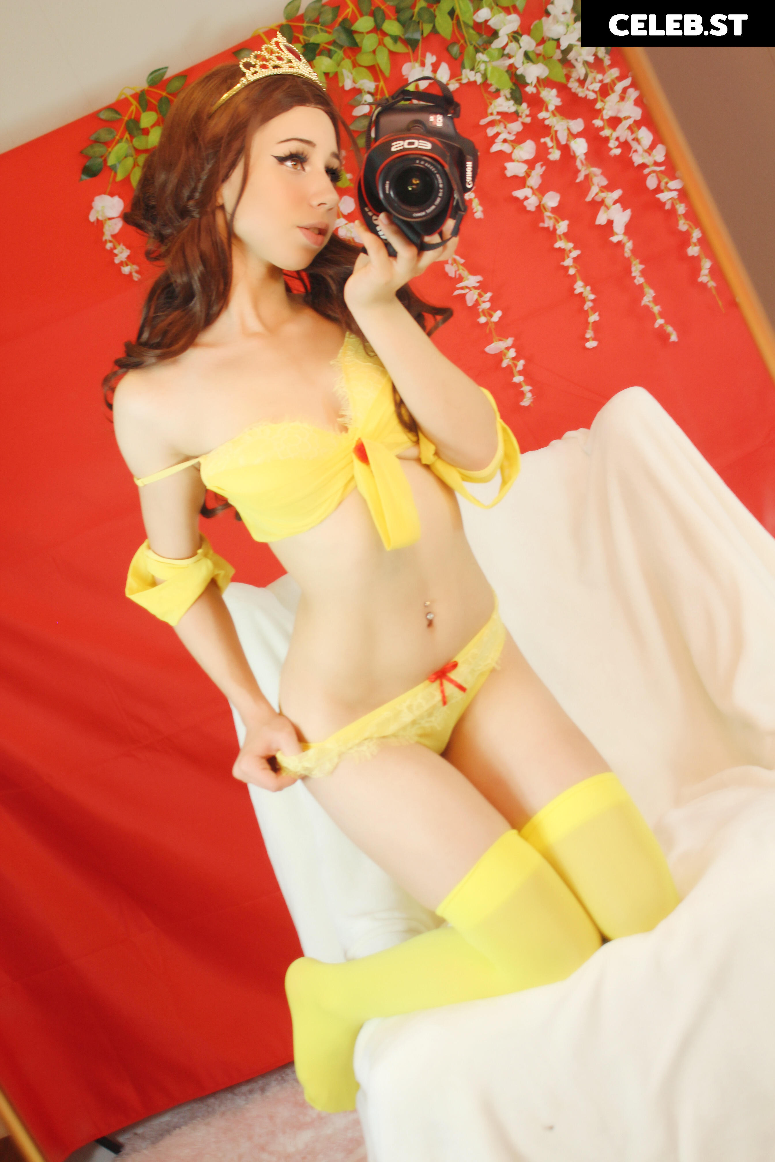 Kiwisunset Image 2467495