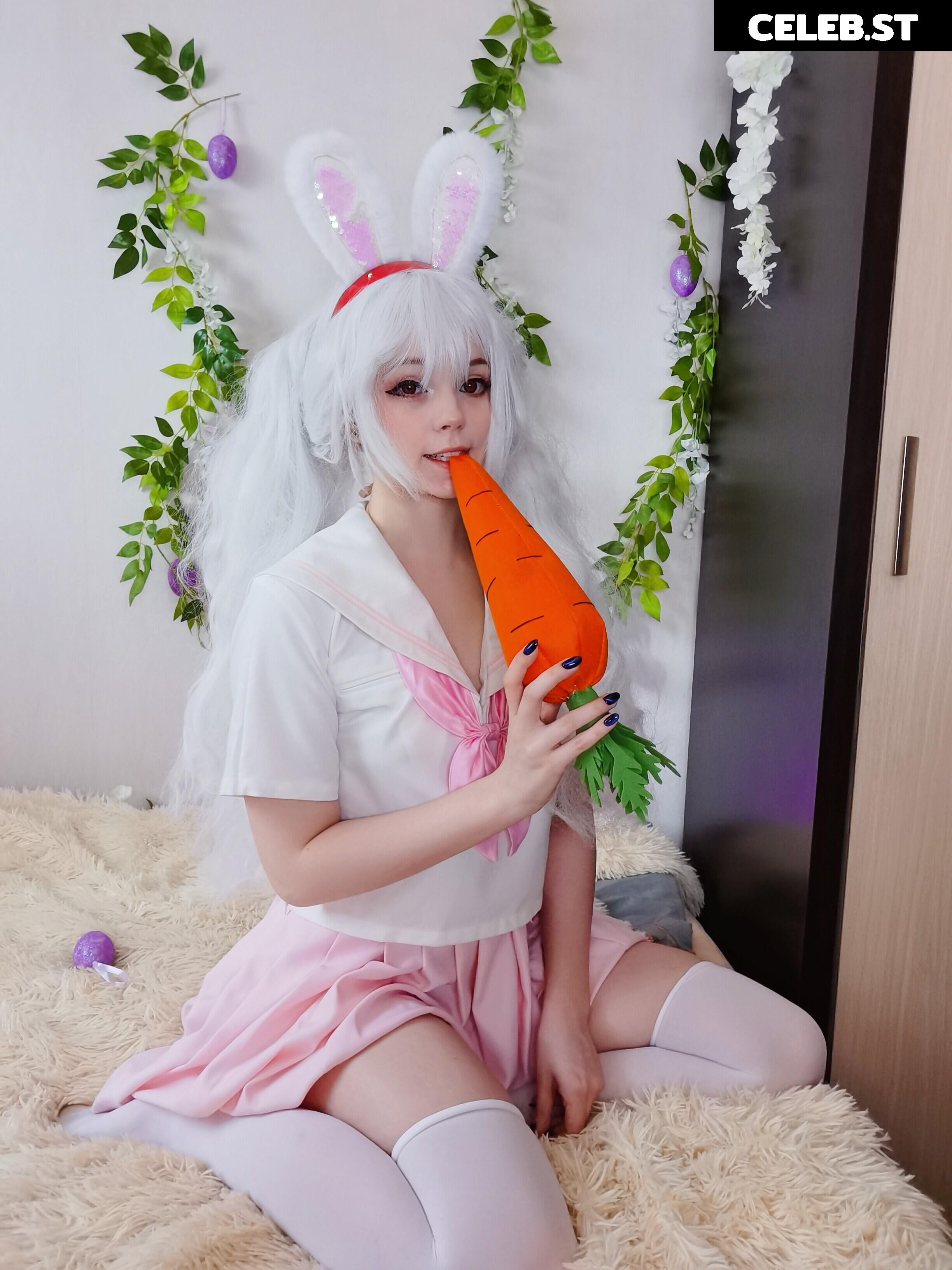 Caticornplay Image 24648969