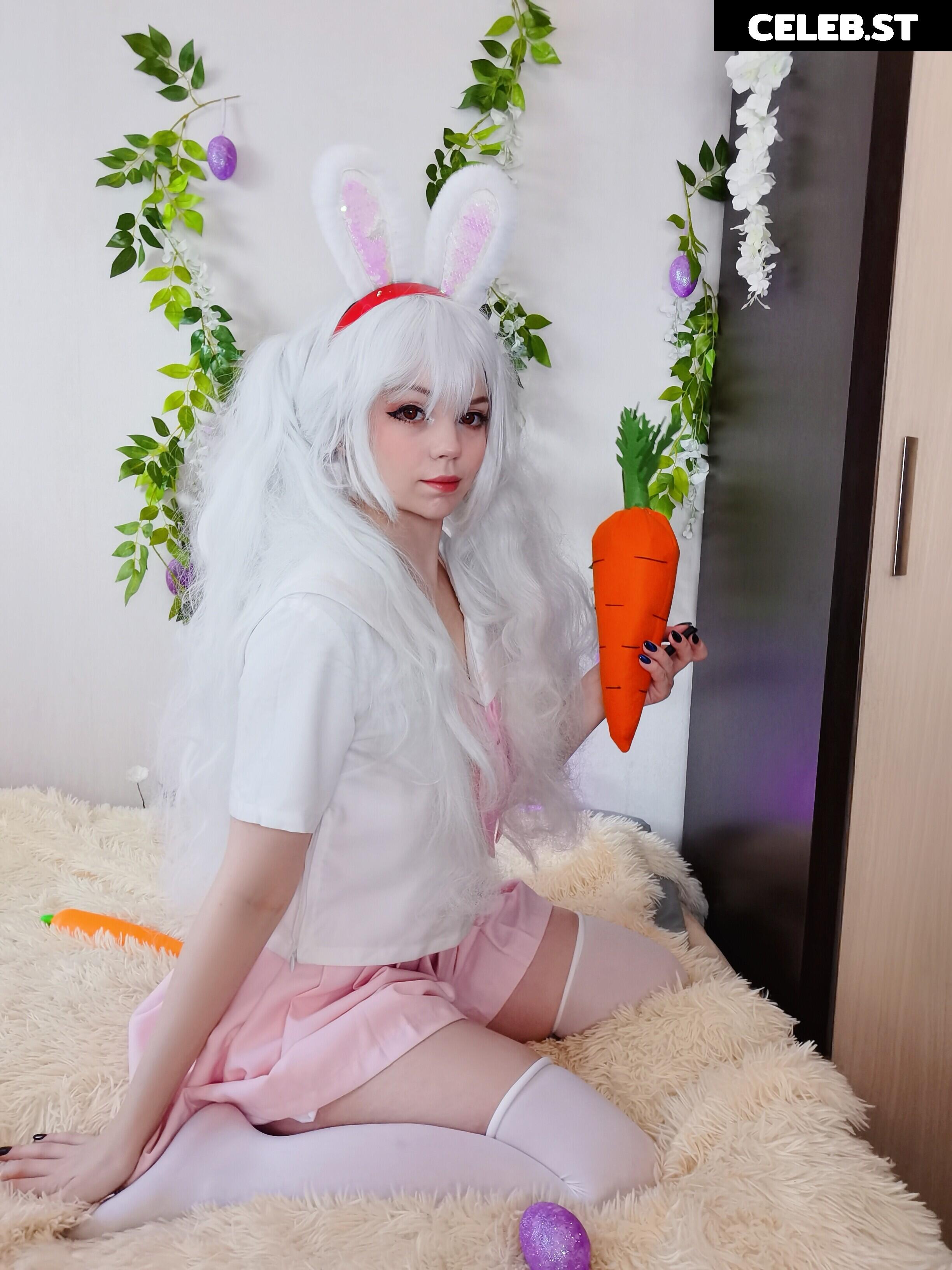 Caticornplay Image 24648956