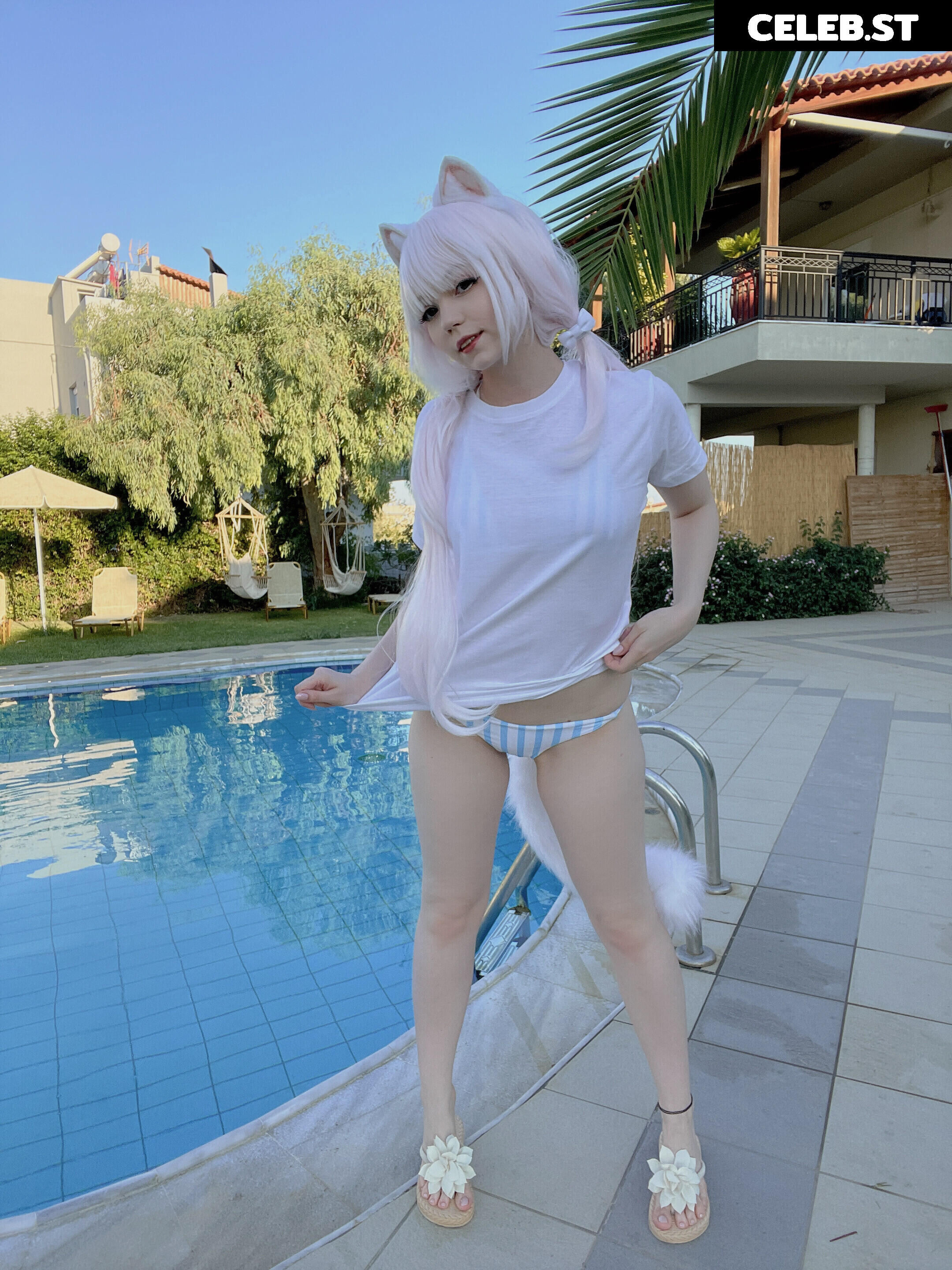 Caticornplay Image 24648820