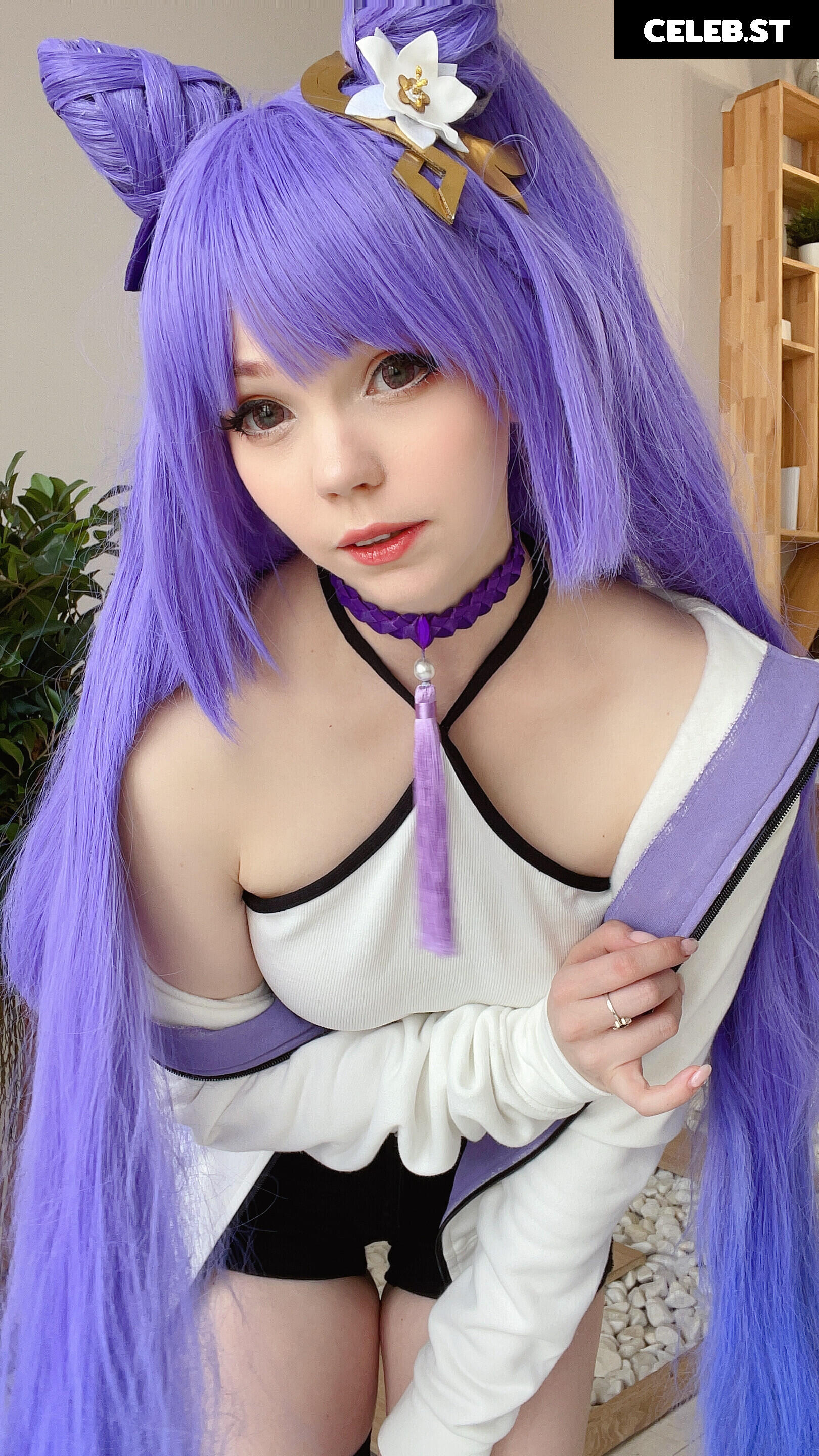 Caticornplay Image 24648826