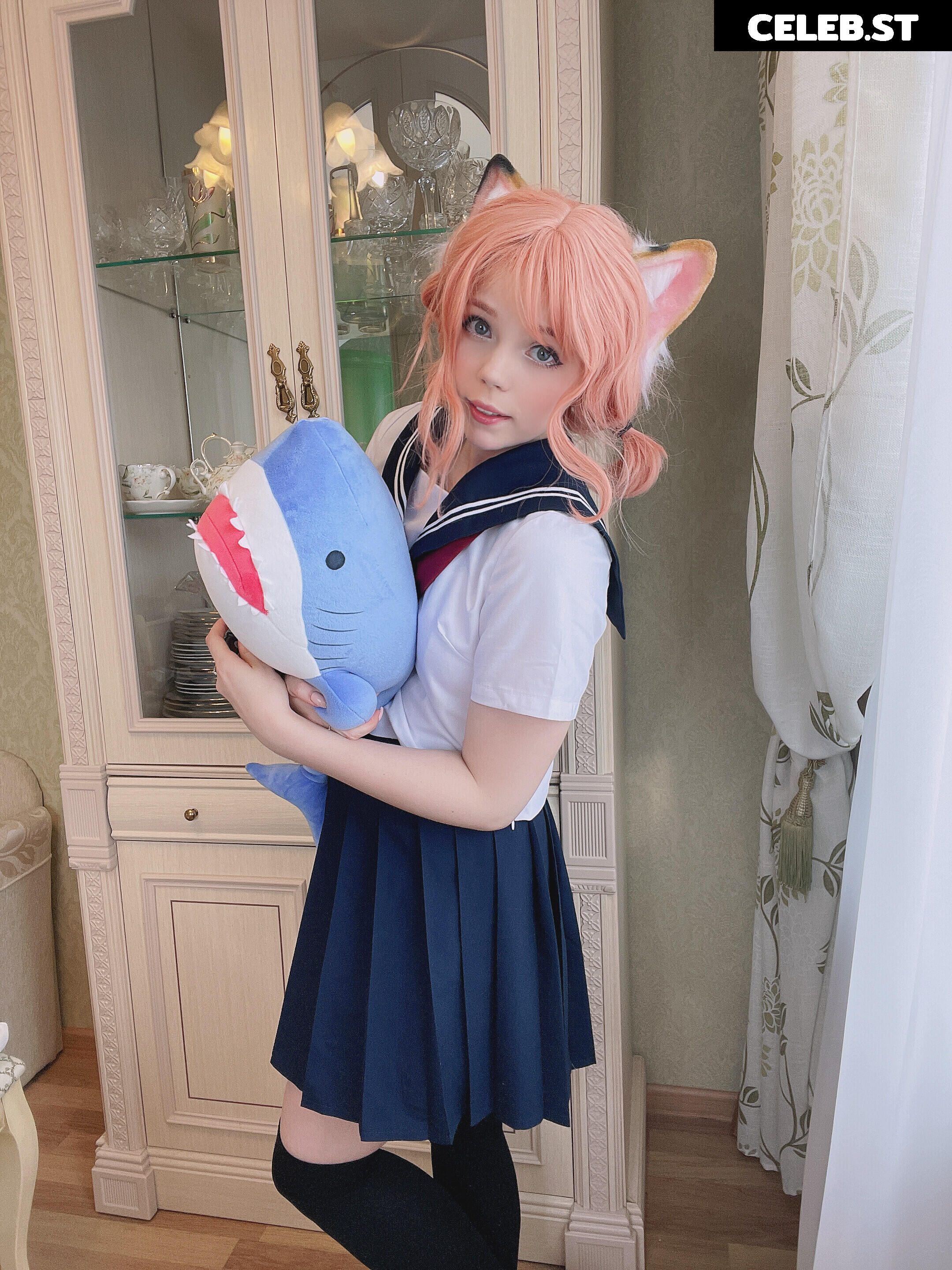 Caticornplay Image 24648824