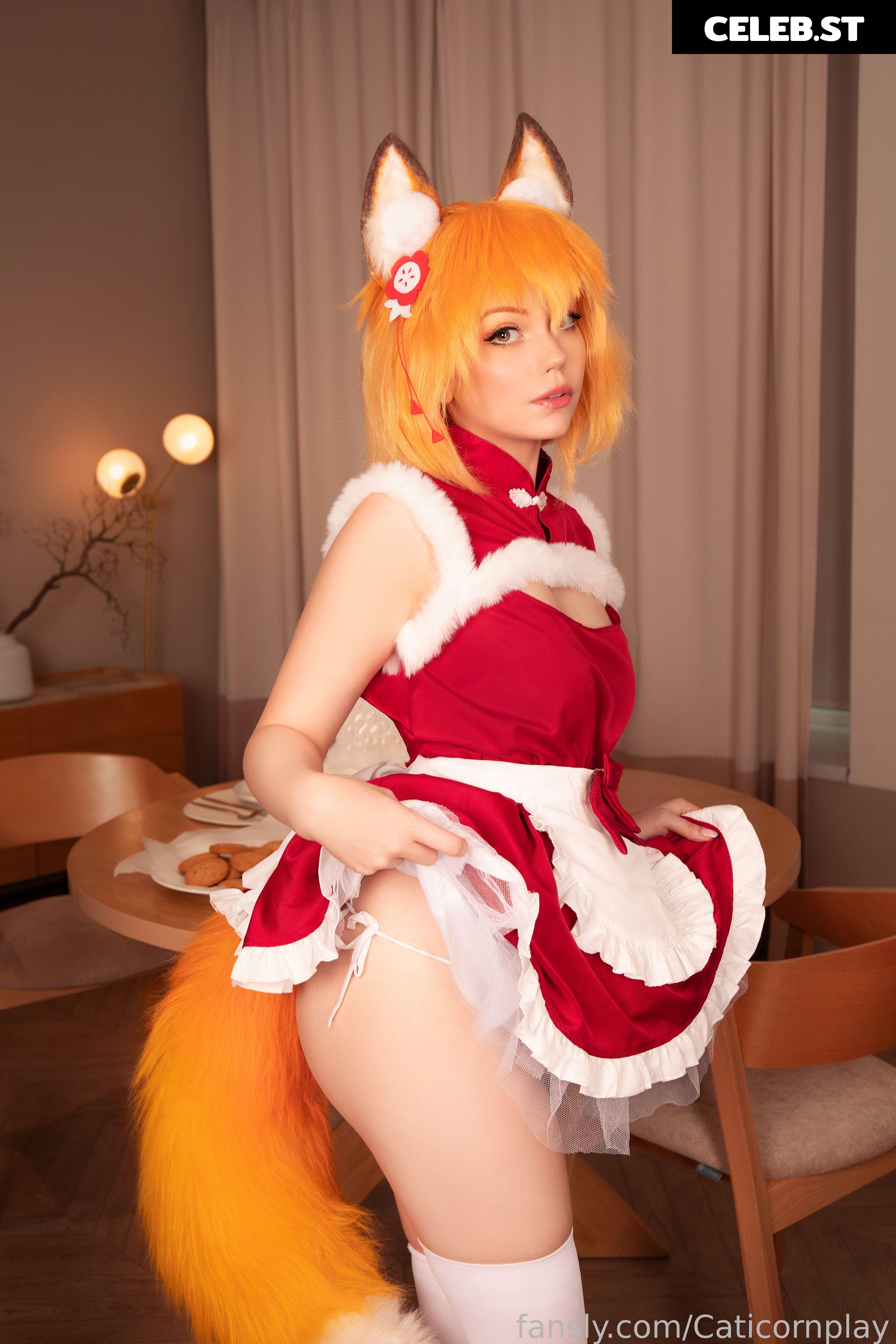 Caticornplay Image 24648435