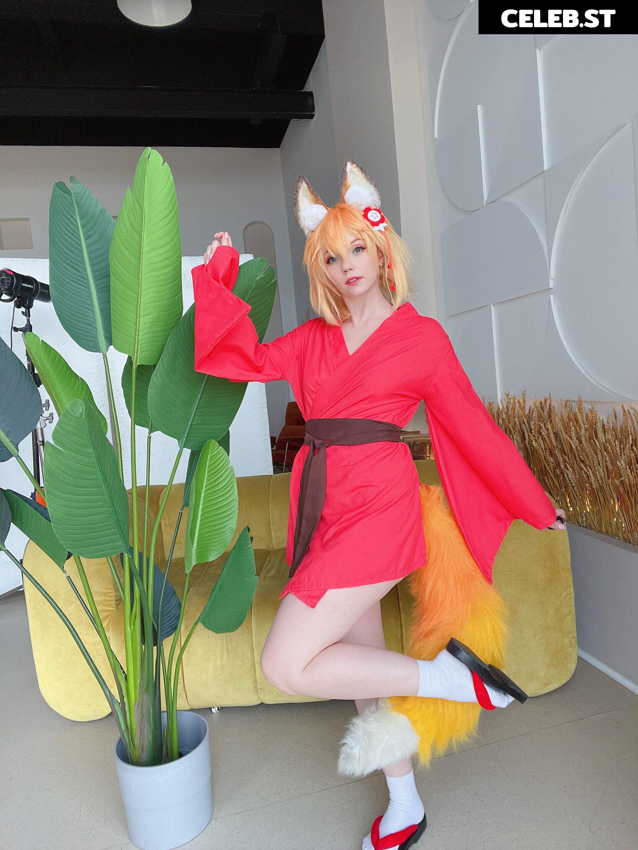 Caticornplay Image 24648725