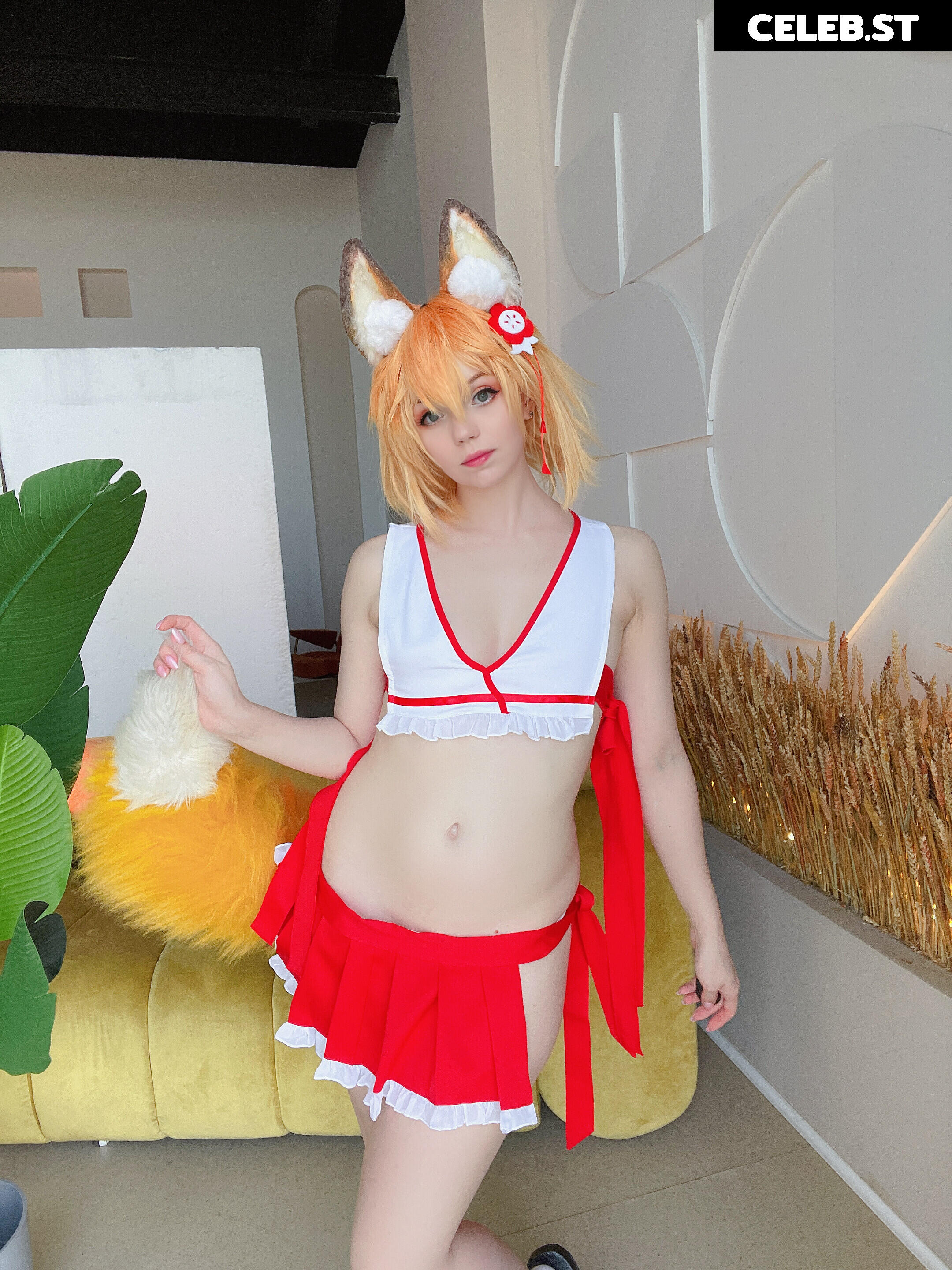 Caticornplay Image 24648717