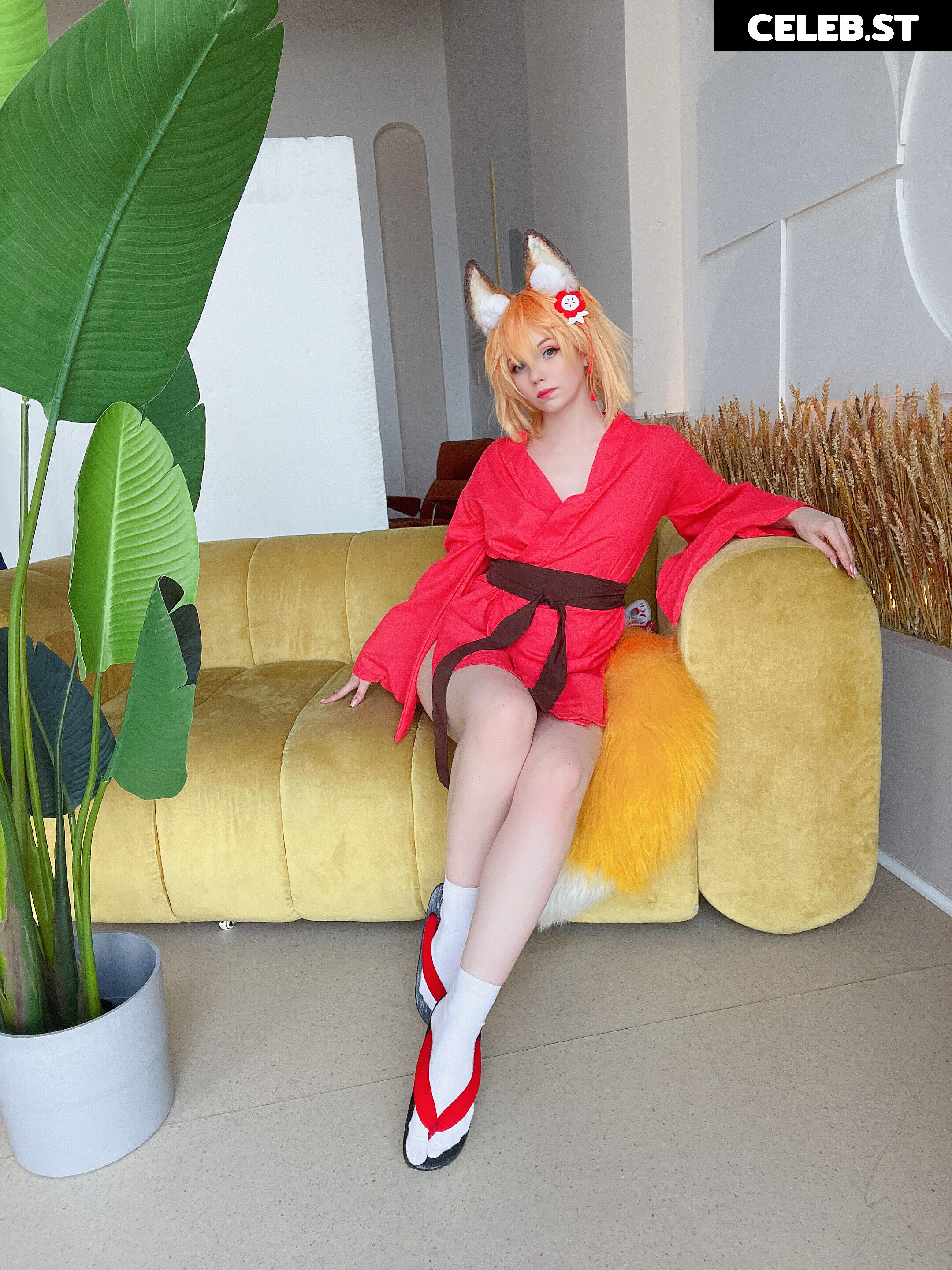 Caticornplay Image 24648739