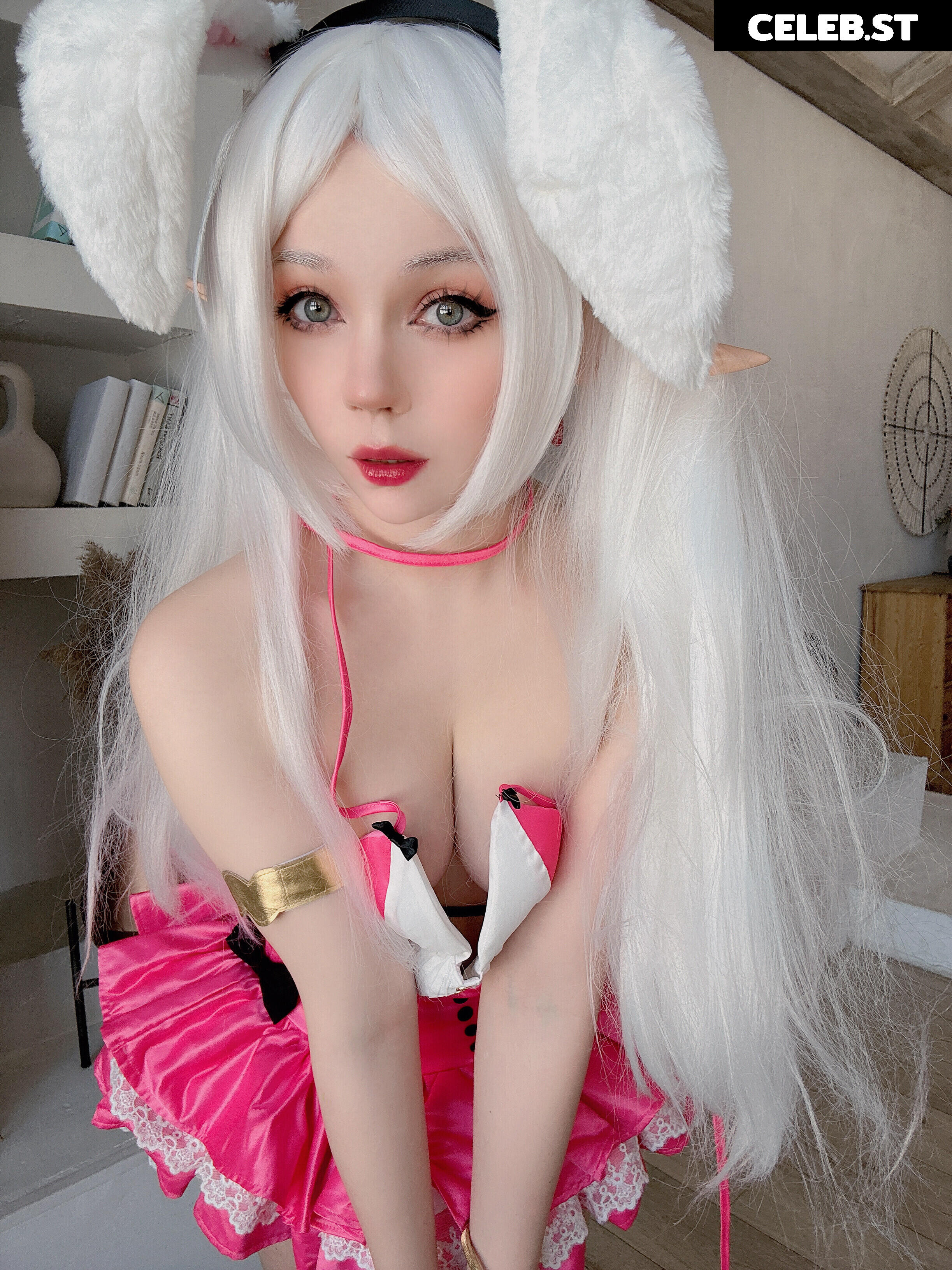 Caticornplay Image 24648776