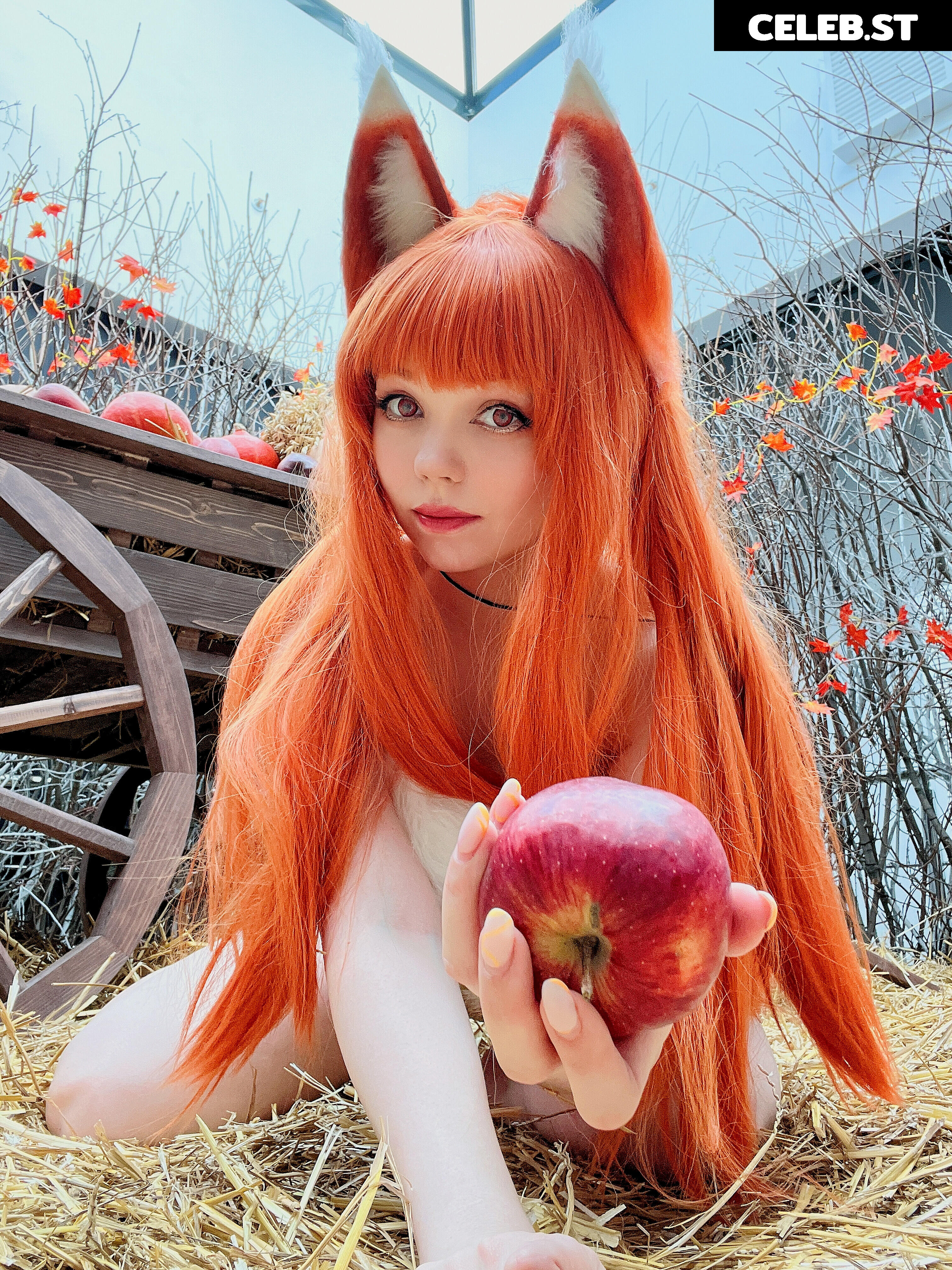 Caticornplay Image 24648191