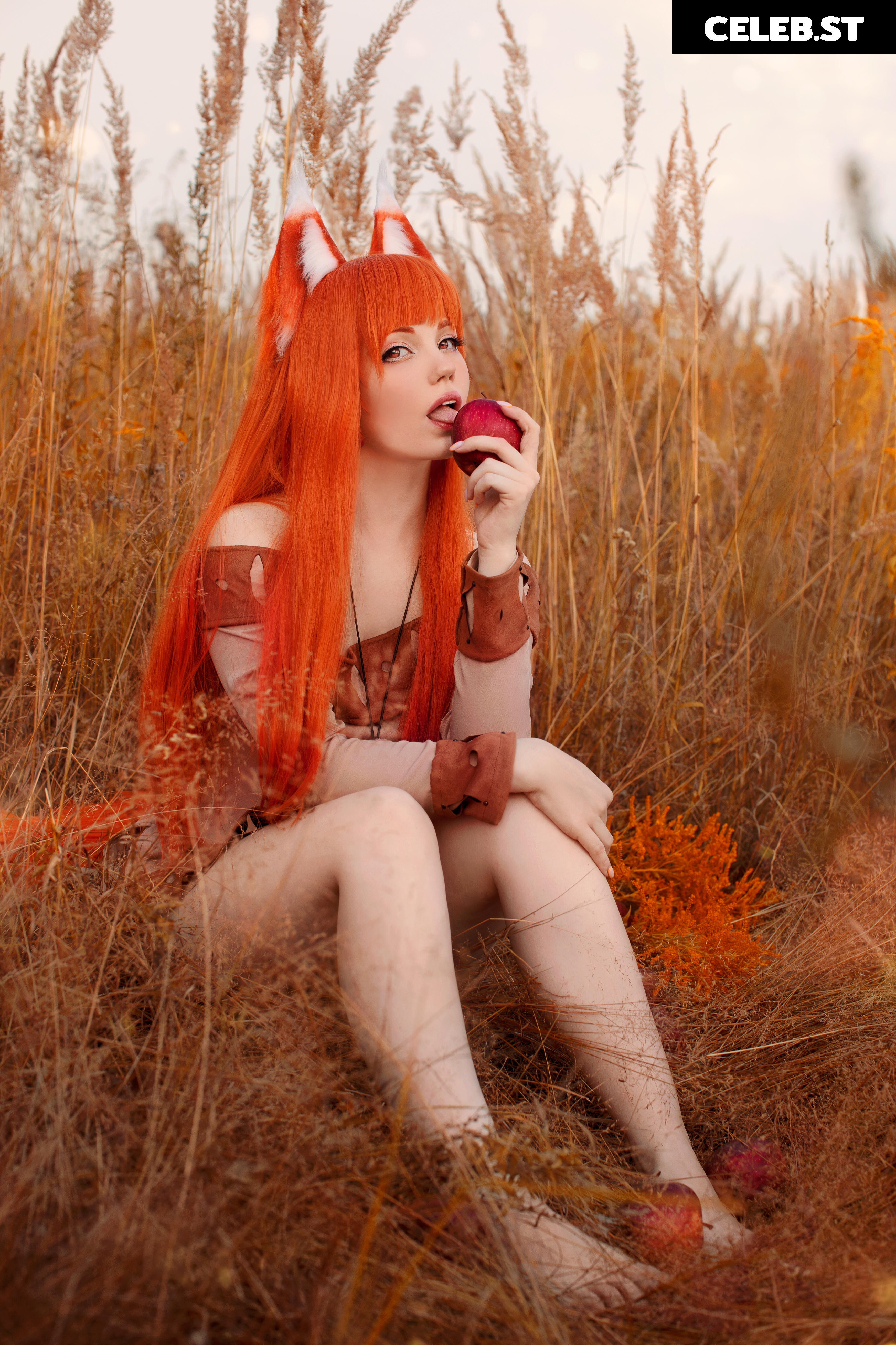 Caticornplay Image 24648167