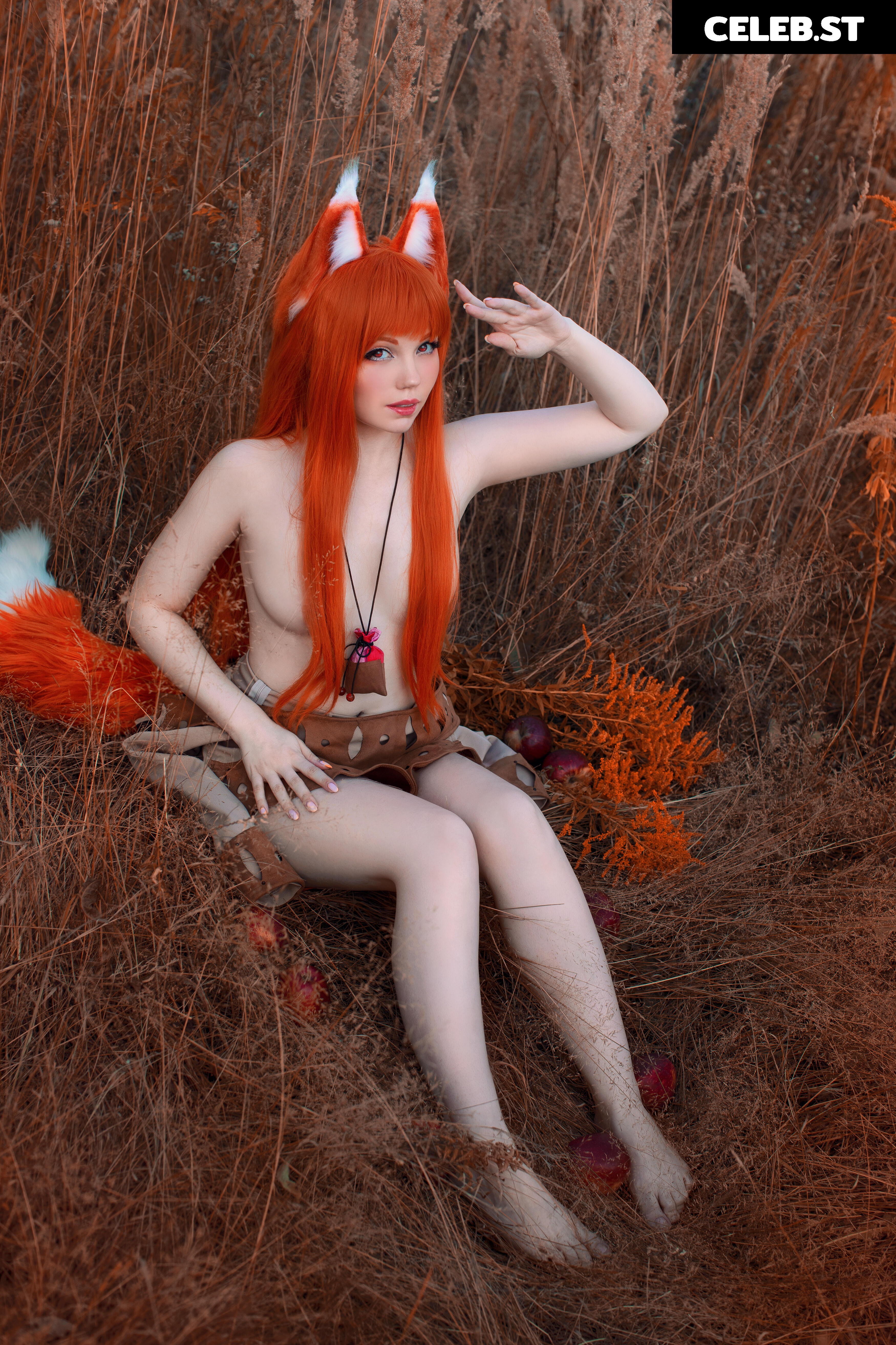 Caticornplay Image 24648168